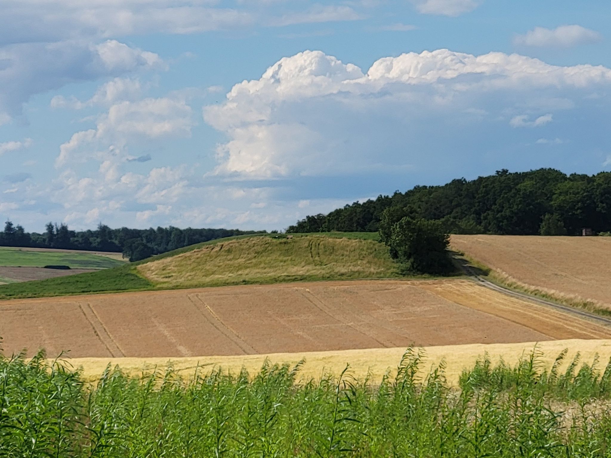 Olo's Uhlenkopf