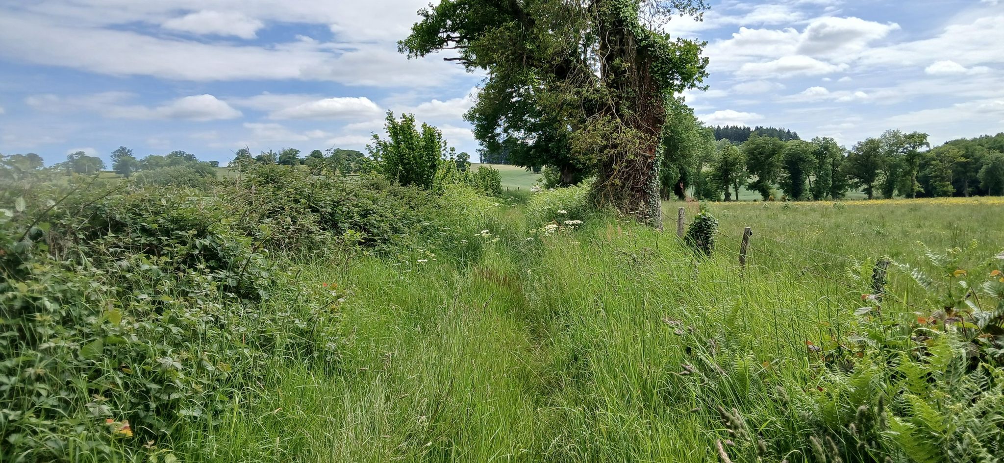 Ca c'est bien rouler dans la verte !