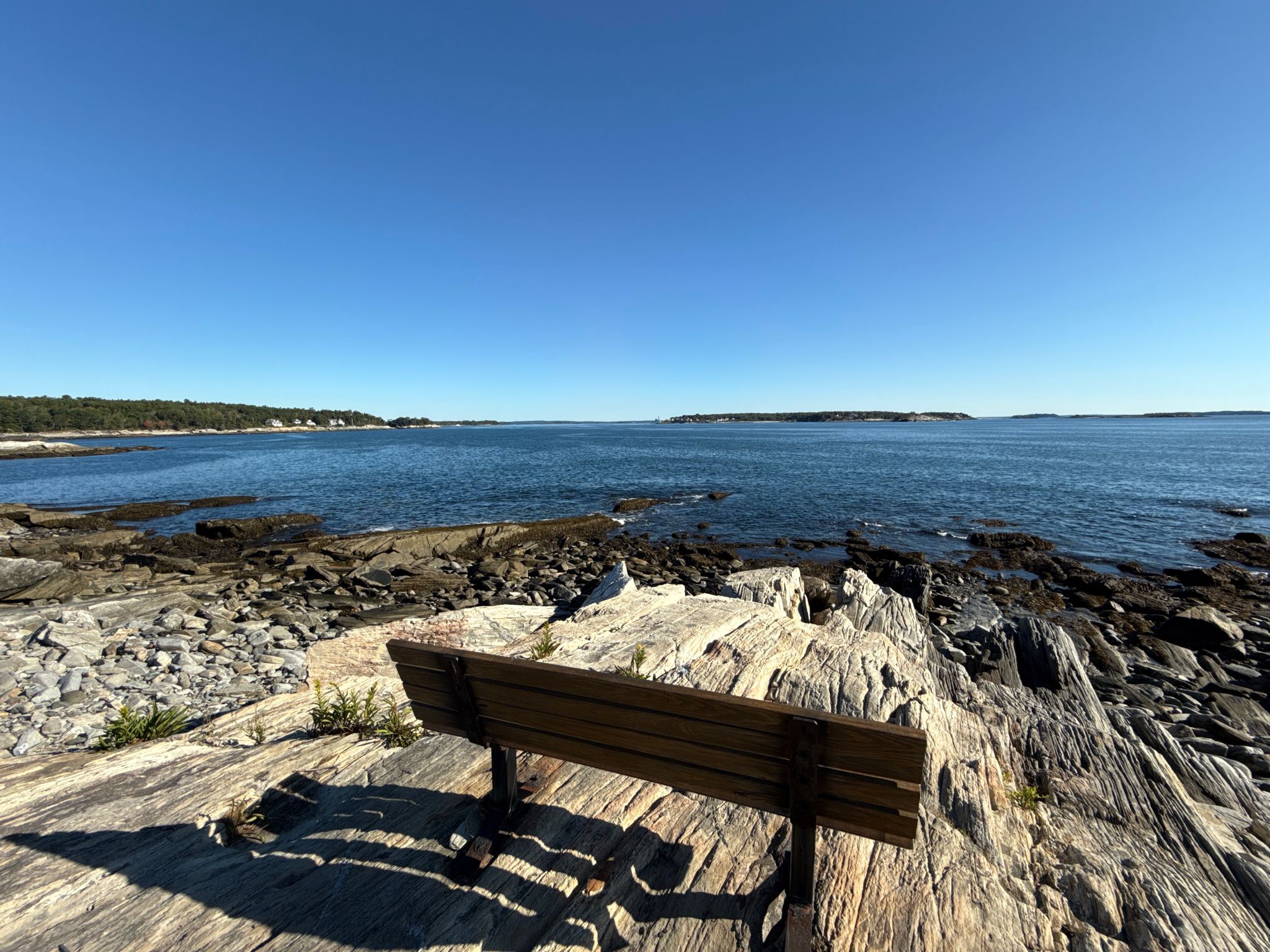 Wooden bench on a rocky shore overlooking a vast blue ocean under clear skies. - Peaks Island Land Preserve – Bench With Ocean View loop from Peaks Island