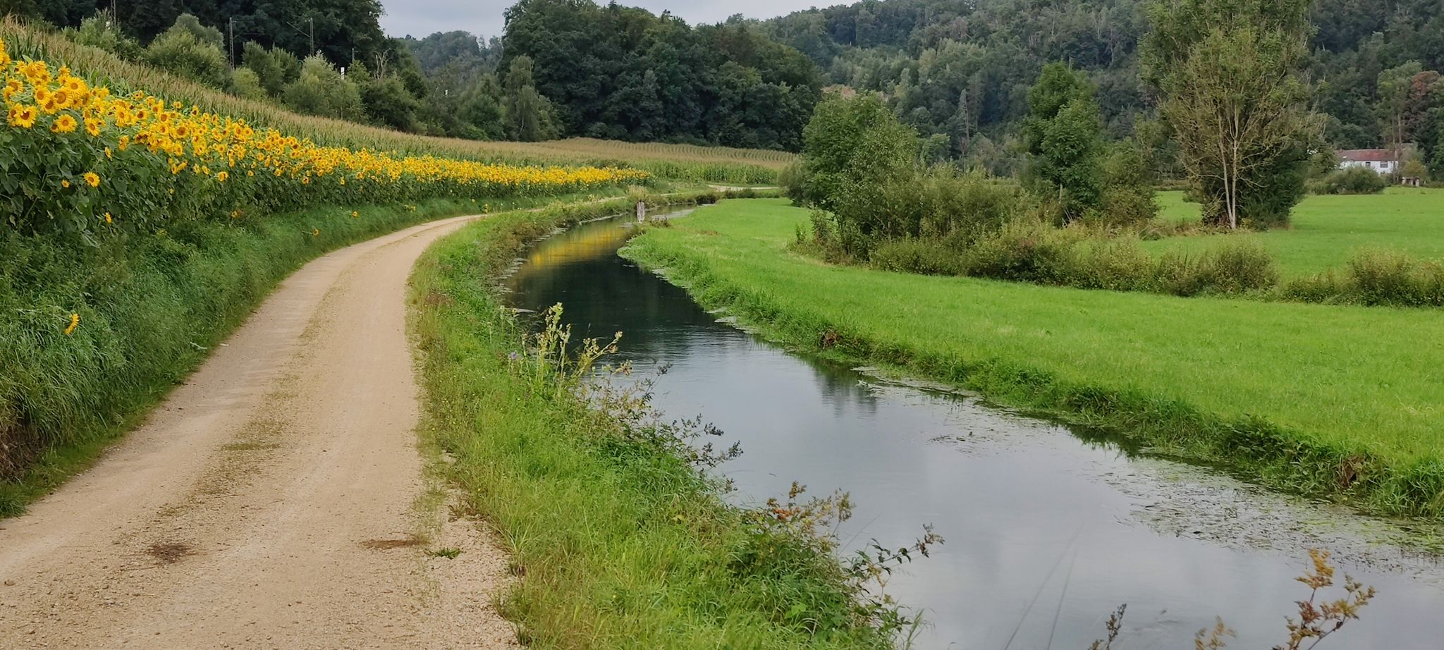 der 🥕Möhrenbach schlängelt 🪱 sich durchs Möhrental