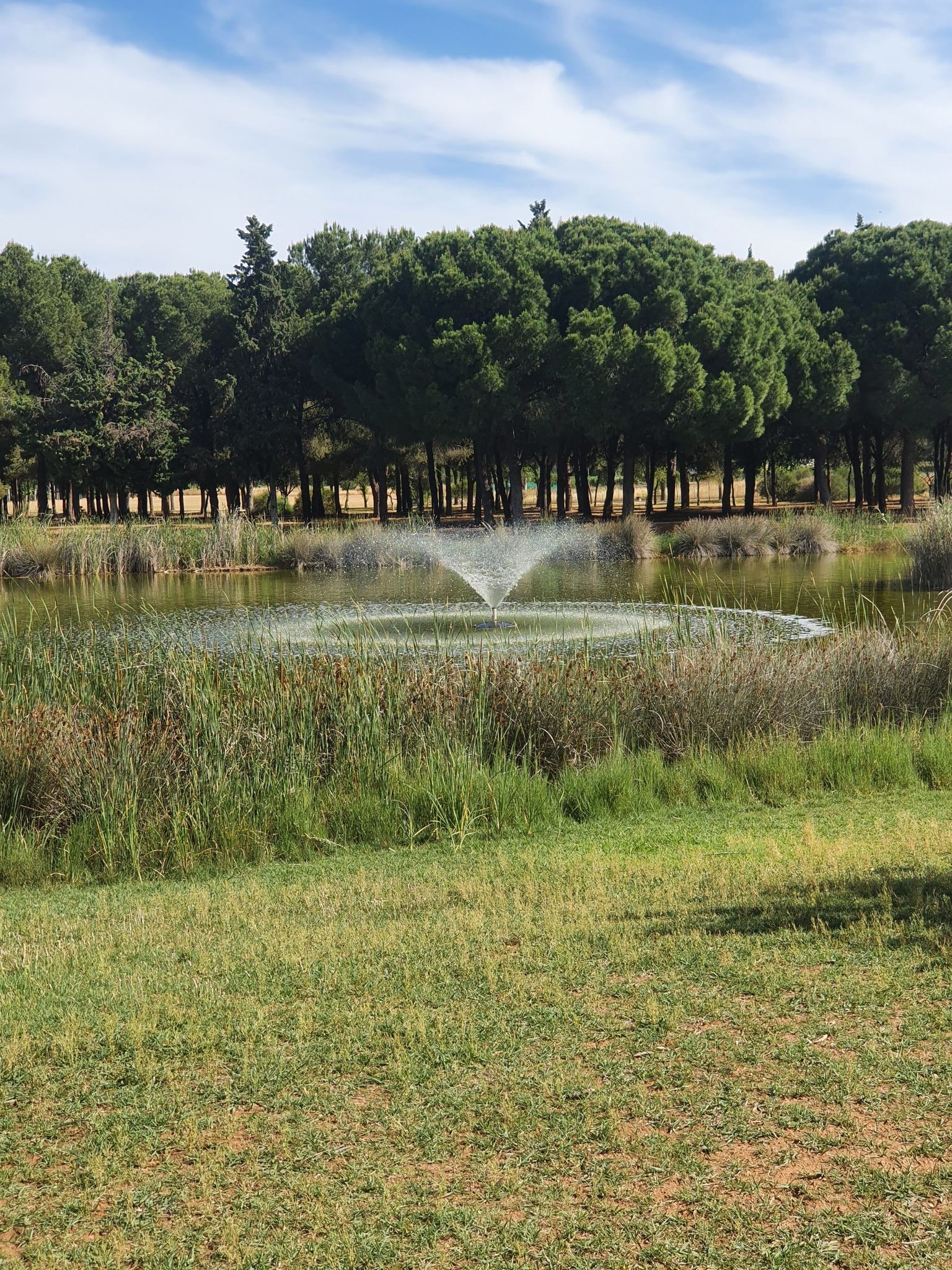 Fuente sobre lago en Parque Los Pitufos