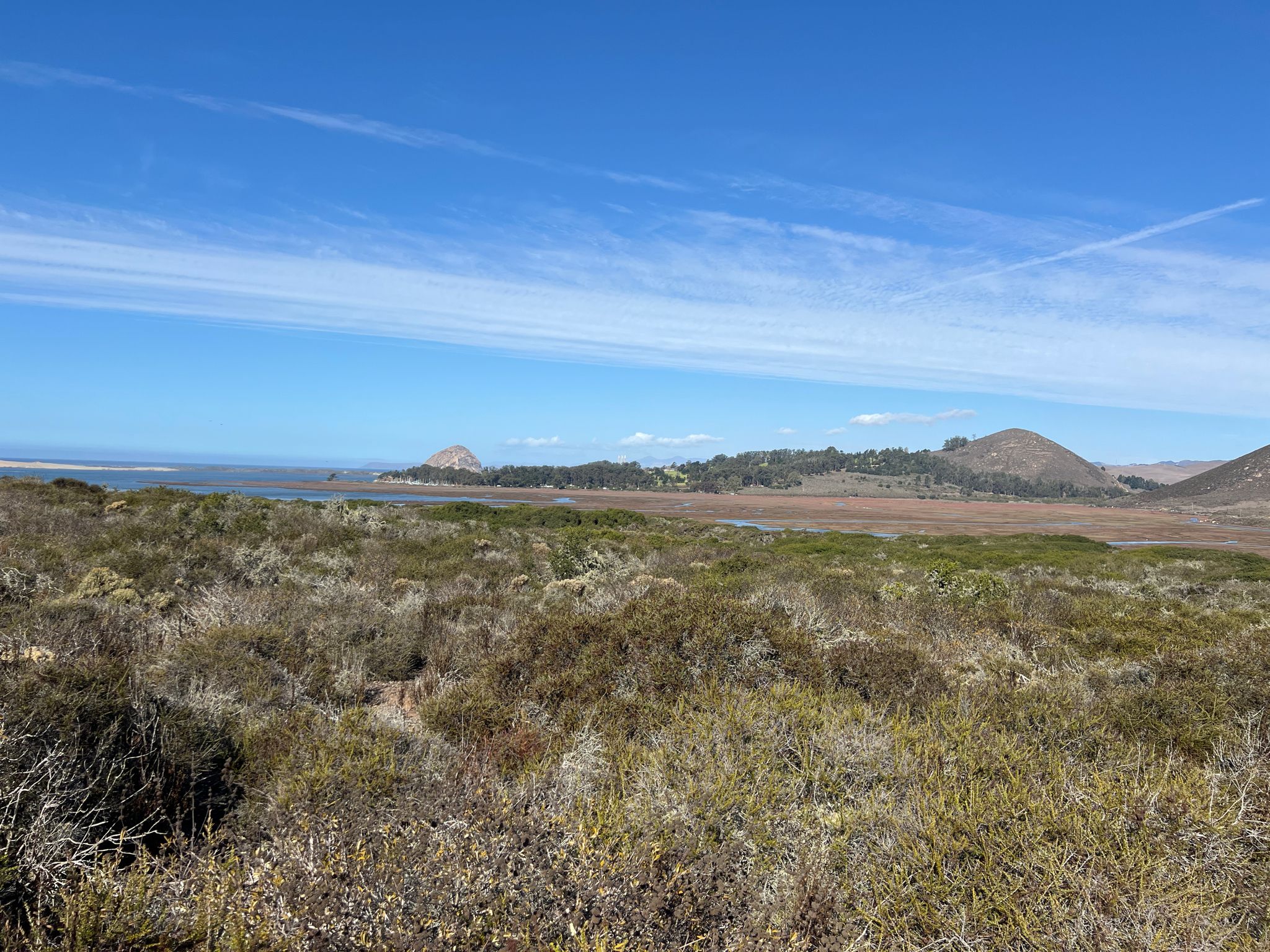 Expansive landscape with scrubland, distant hills, and ocean under a bright blue sky. - Orchid Loop