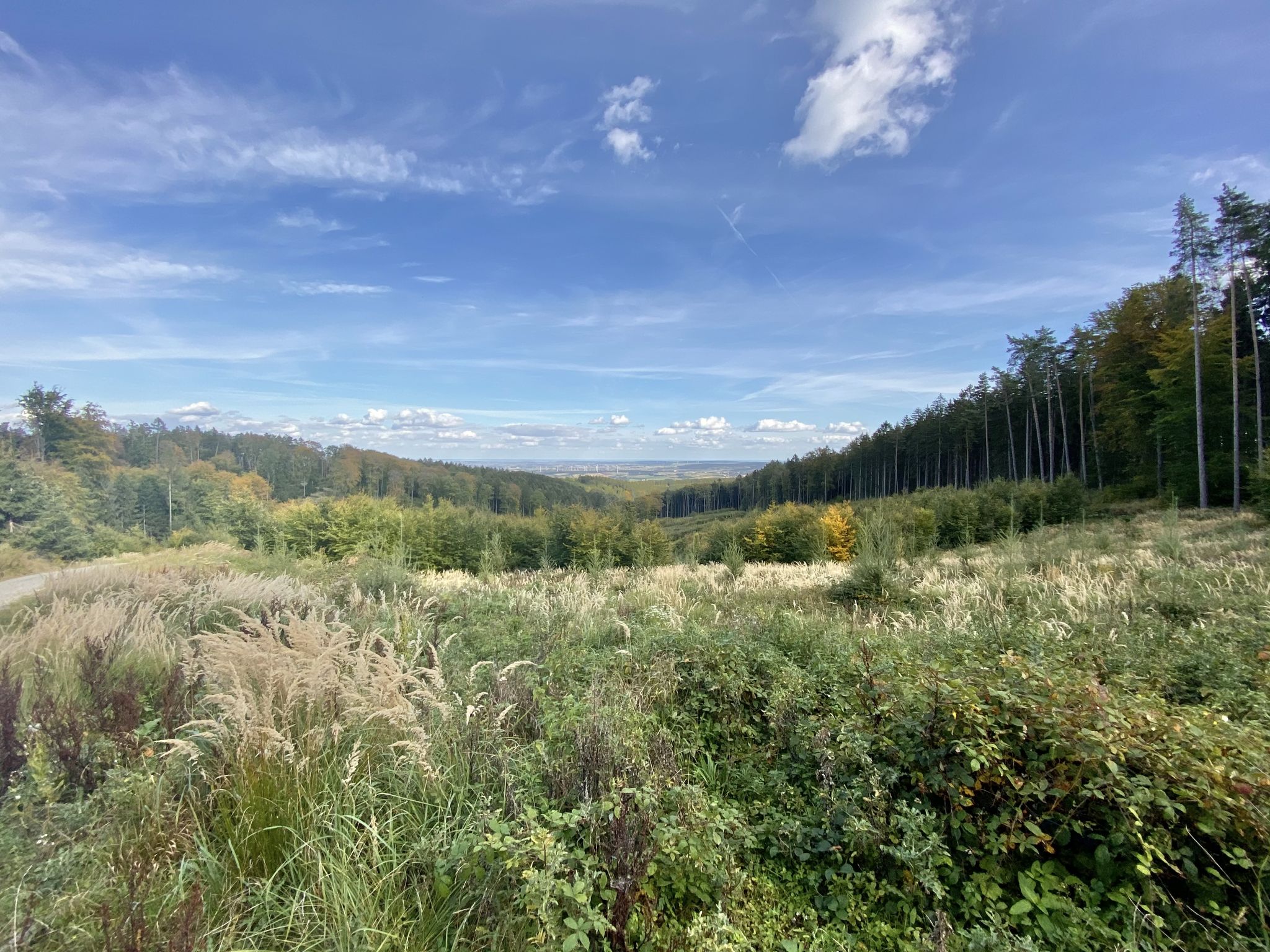 Blick in Richtung Osten