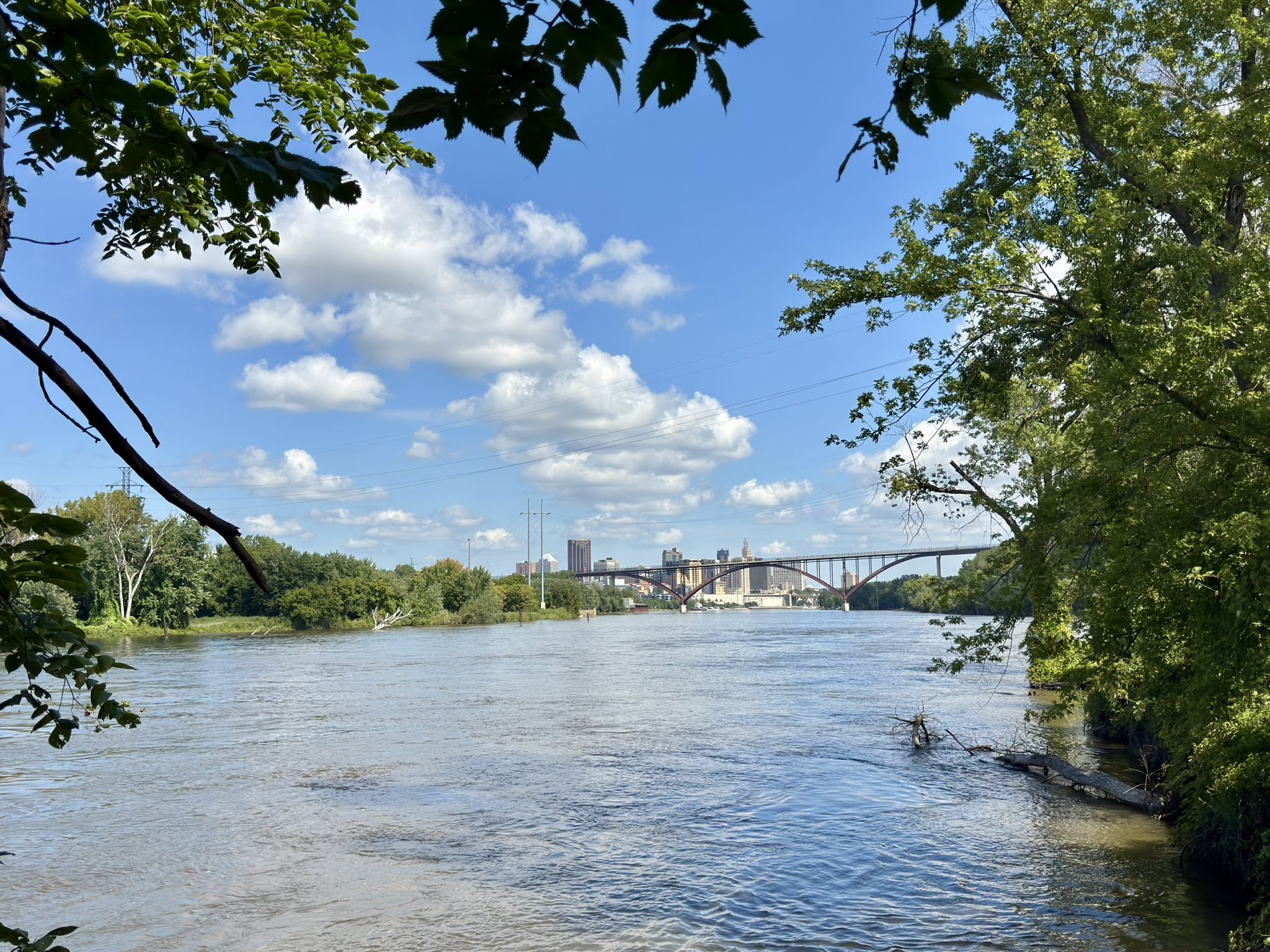 View of the Mississippi River and St. Paul from Lilydale