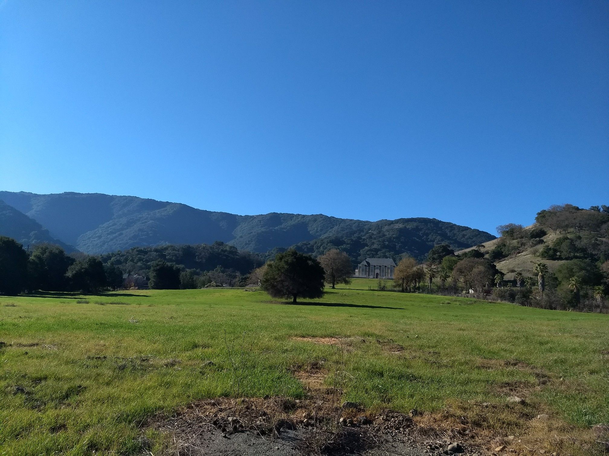 Sunny green field with a lone tree, distant mountains, and a building. - Los Gatos Creek Trail bridge – Shannon Road (climb) loop from Fruitdale