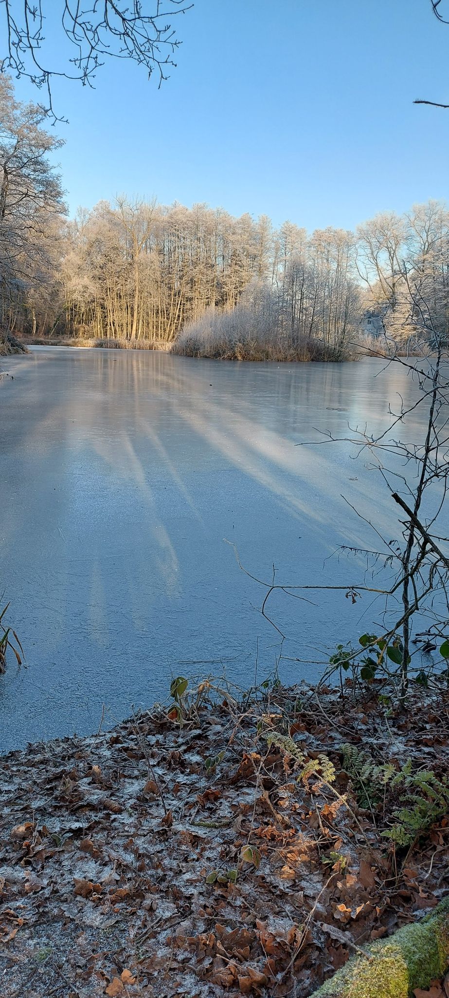 Issendorfer Teich
