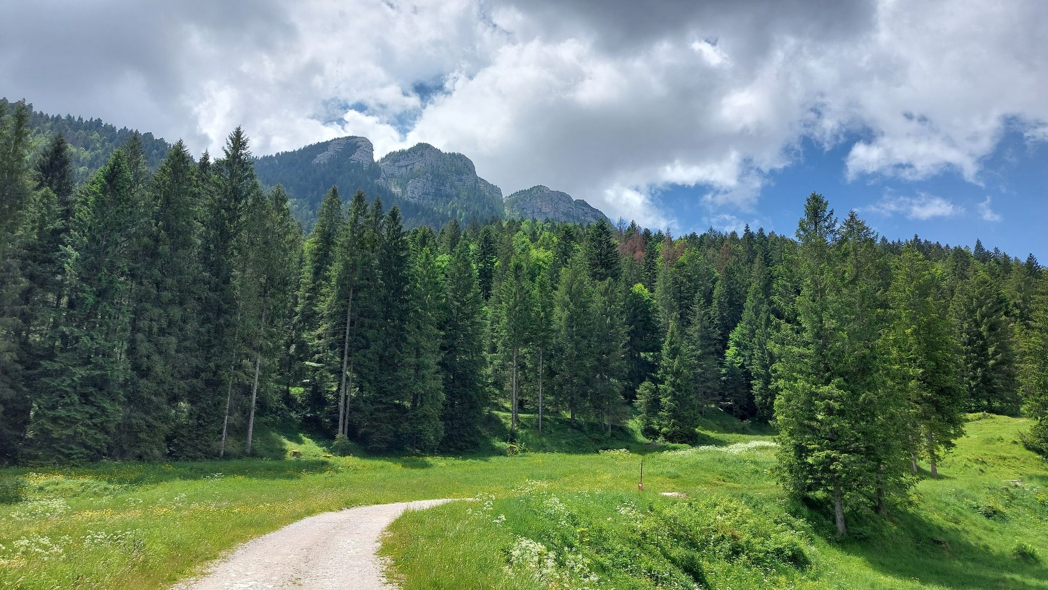 Monte Verena