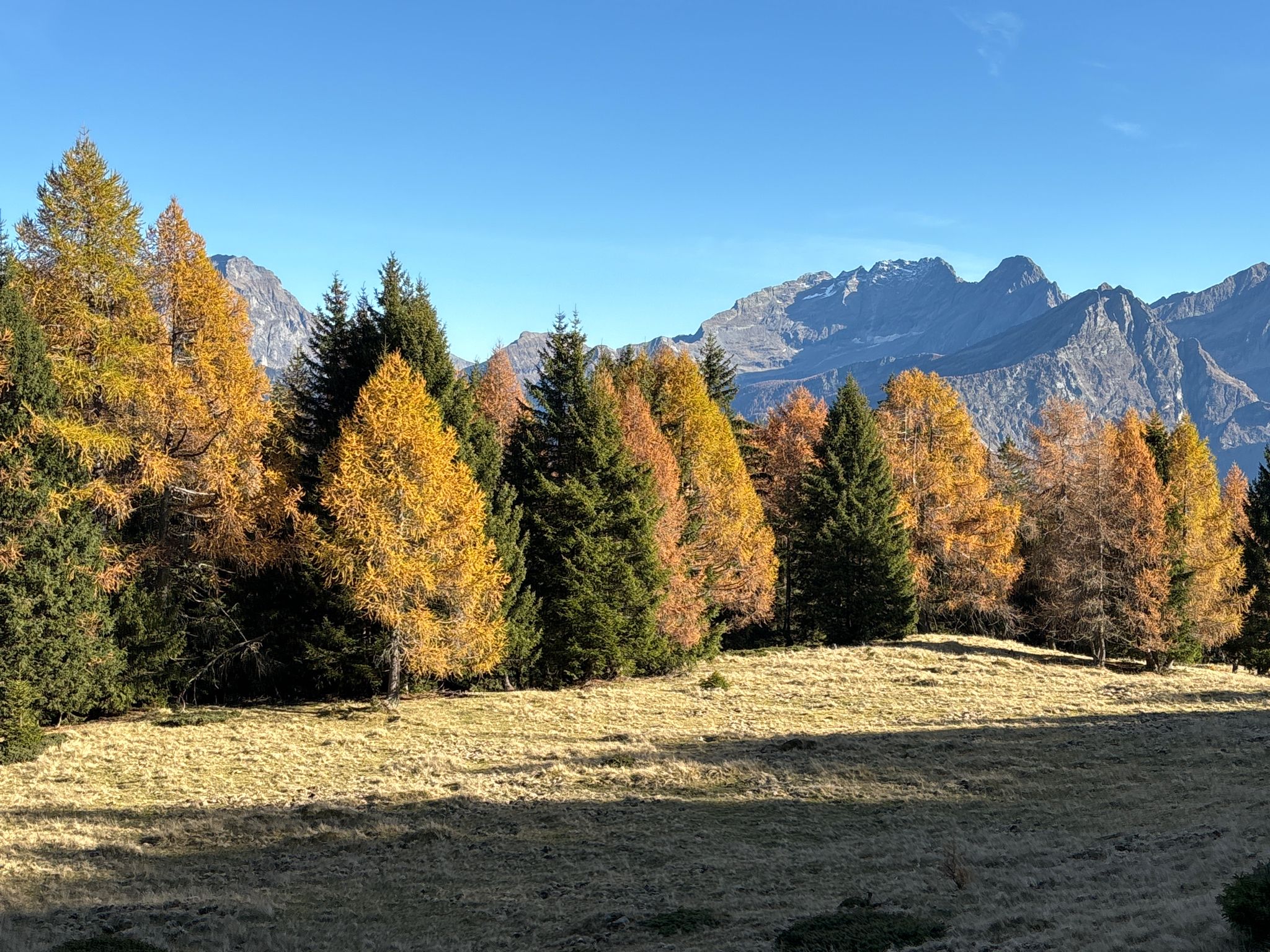 colori autunali