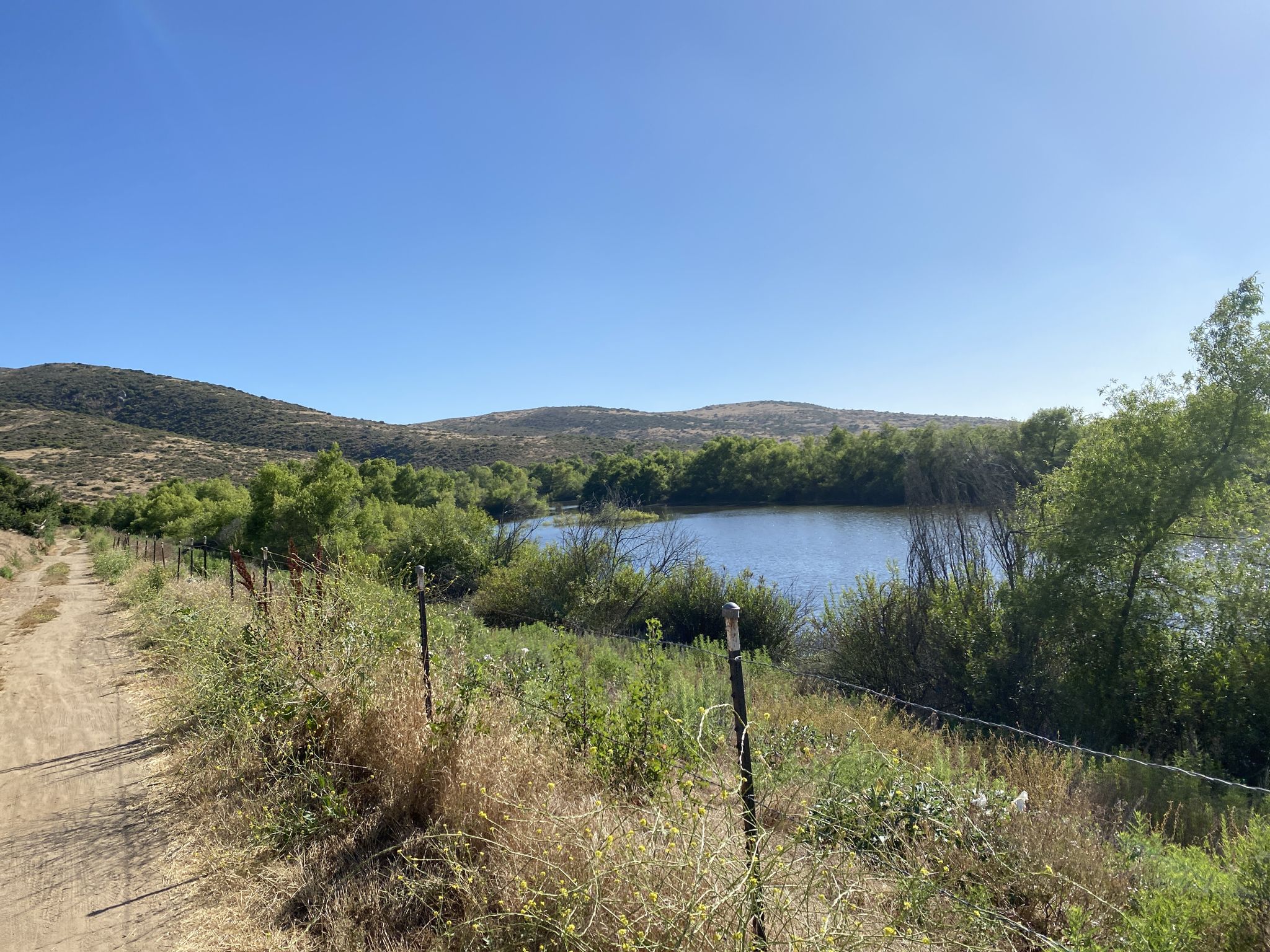 A dirt path beside a lake surrounded by green trees and hills under a clear sky. - Bayshore and Sweetwater Bikeway Loop
