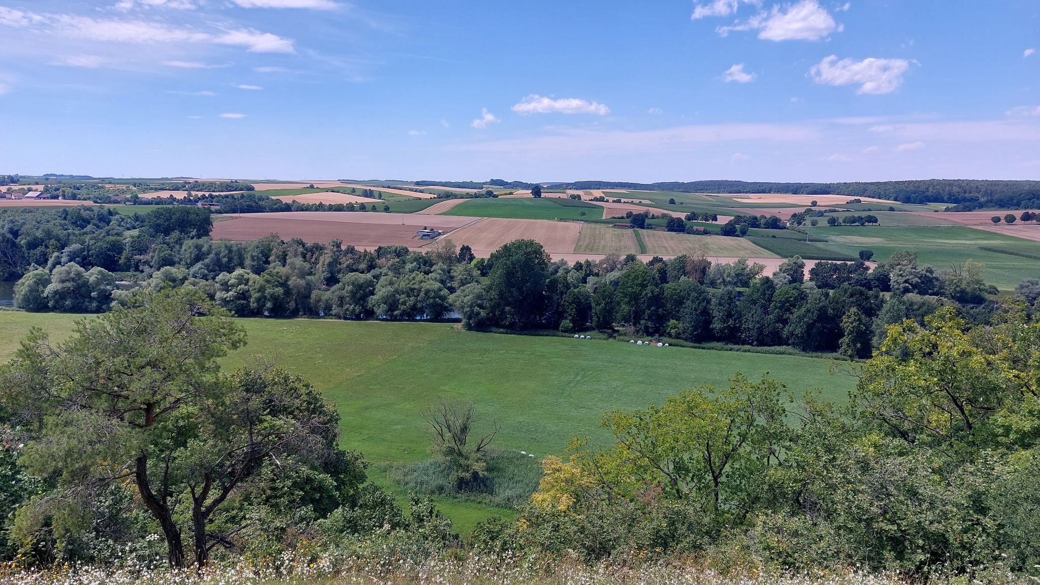 Blick vom Staubinger Berg zum Limes
