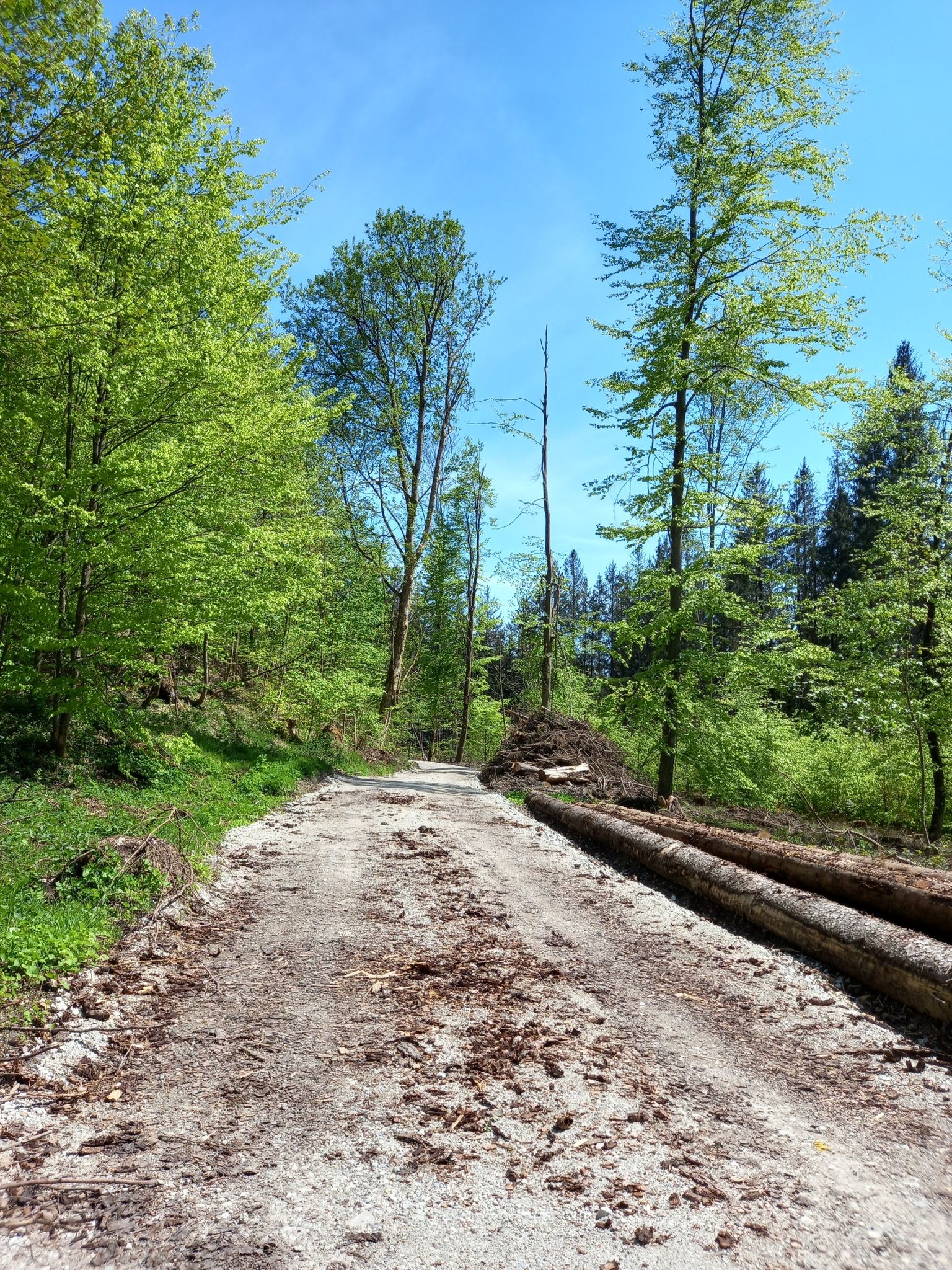 Zwischen Münster und Birkach