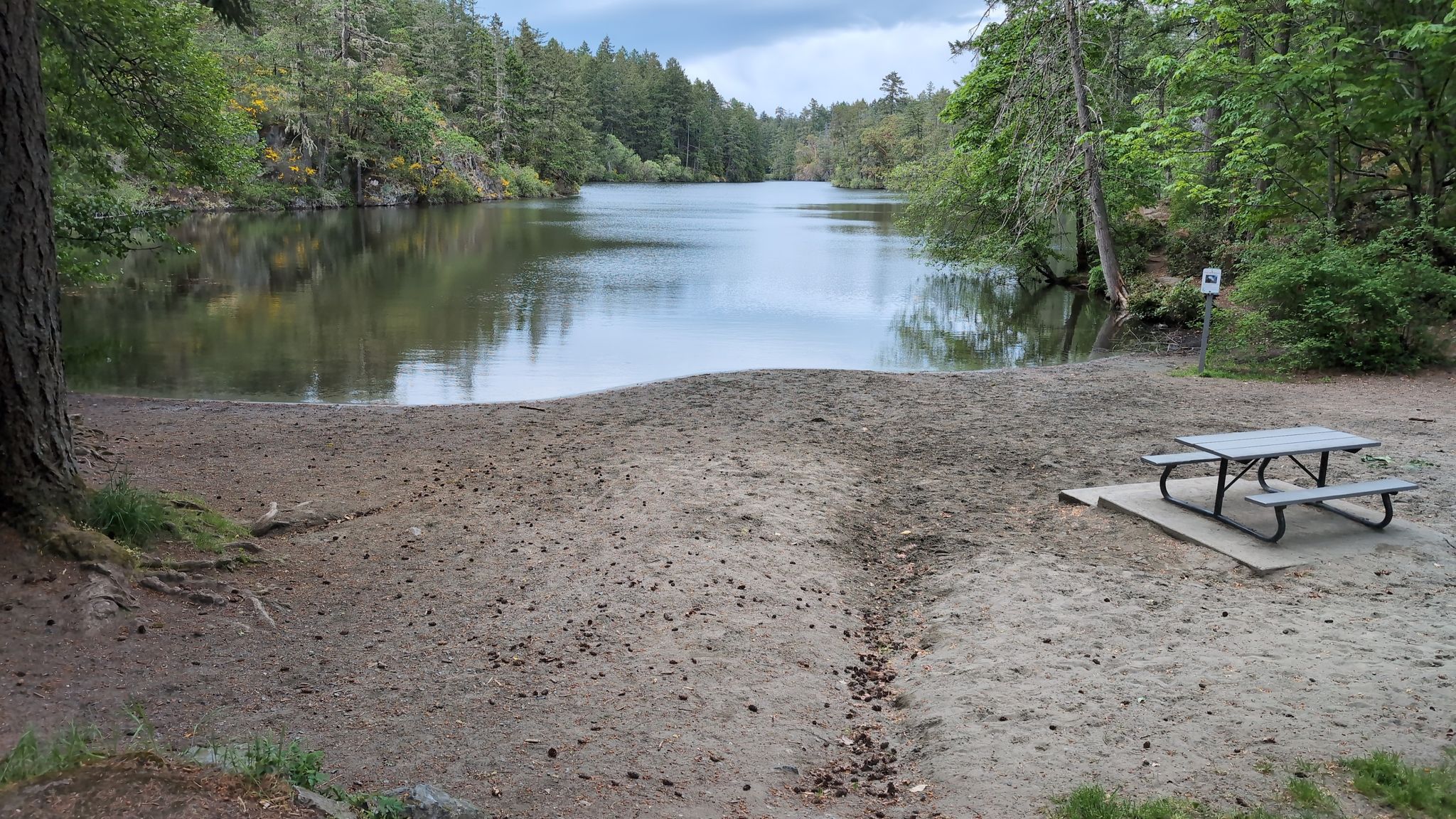 west beach Thetis lake