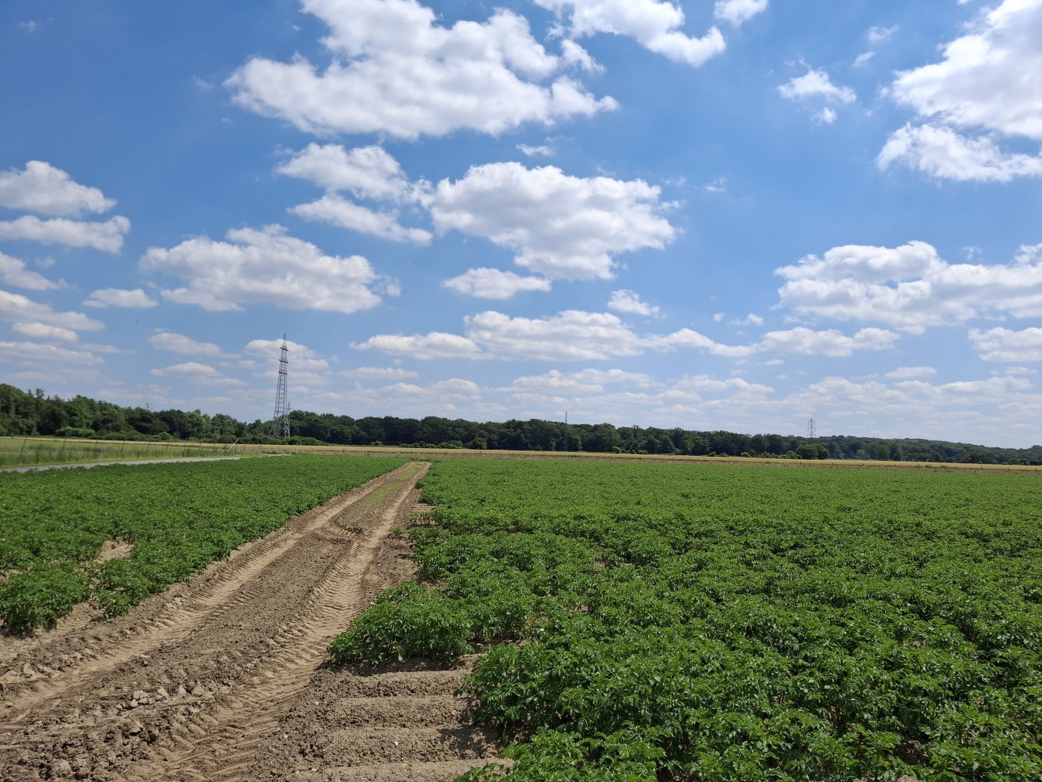 Blick zum Hülserberg