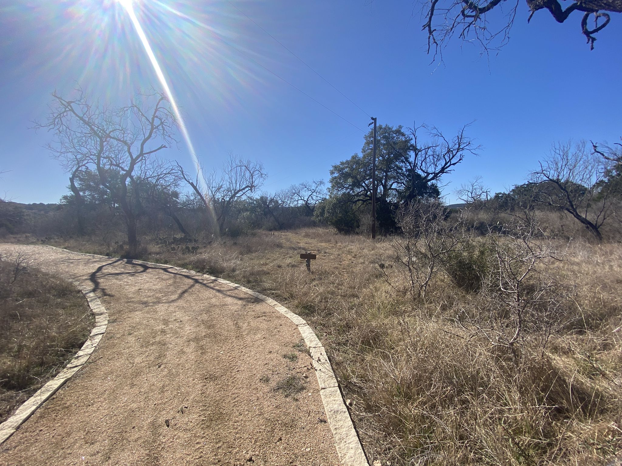Sunny dirt path winding through dry, sparse landscape with bare trees. - Juniper Trail Loop