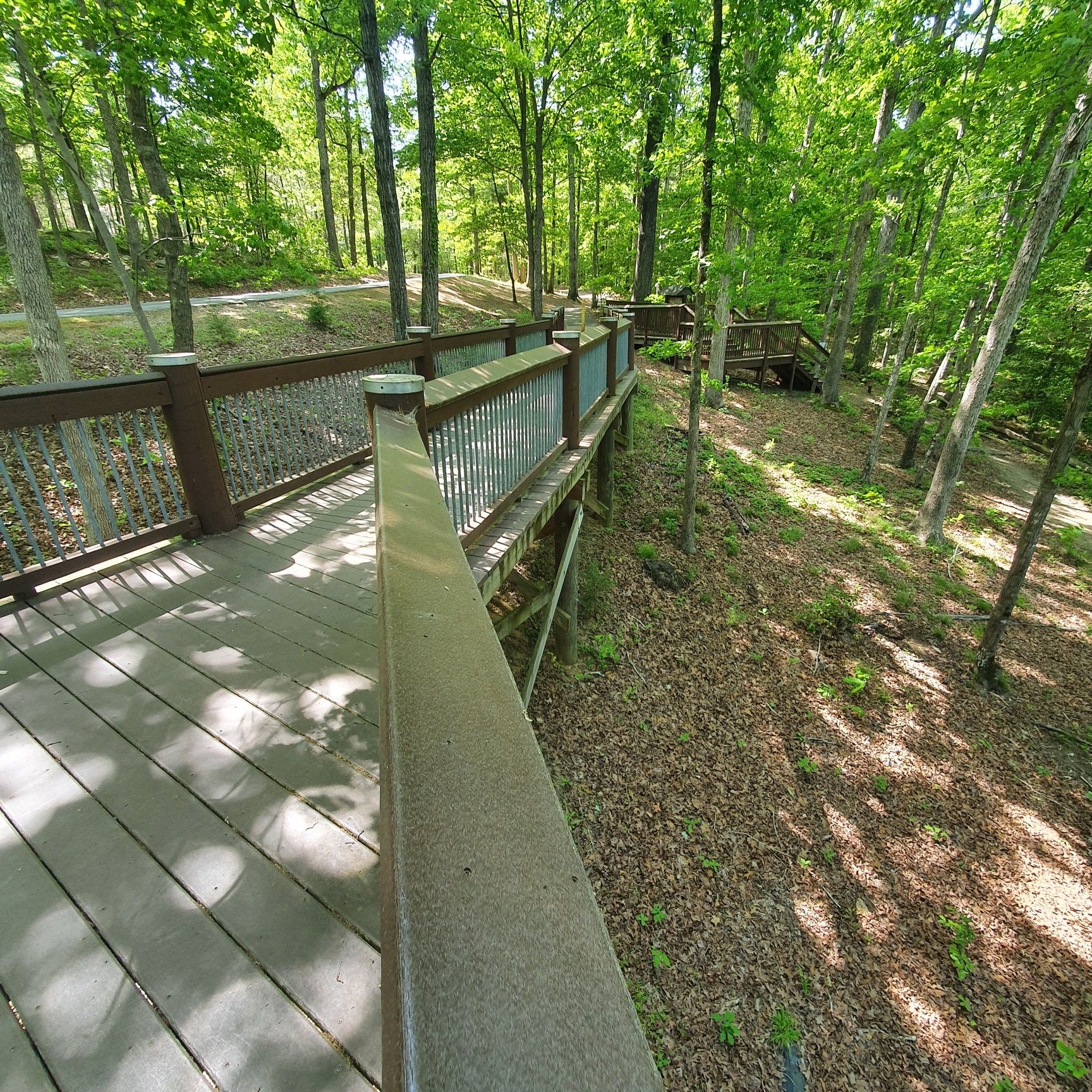 A long wooden boardwalk with railings extending through a sunlit forest. - Long Leaf and Falls Lake Loop