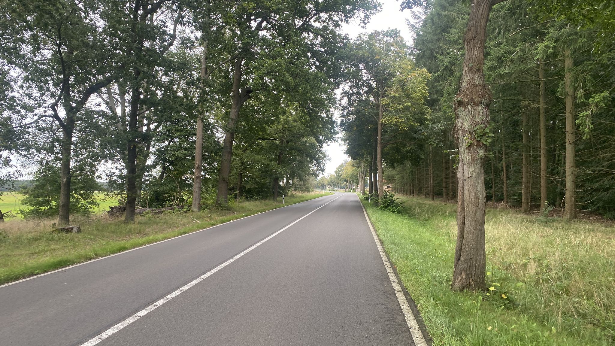 auf dem nicht vorhandenen Radweg nach Sandbad Ahlbeck