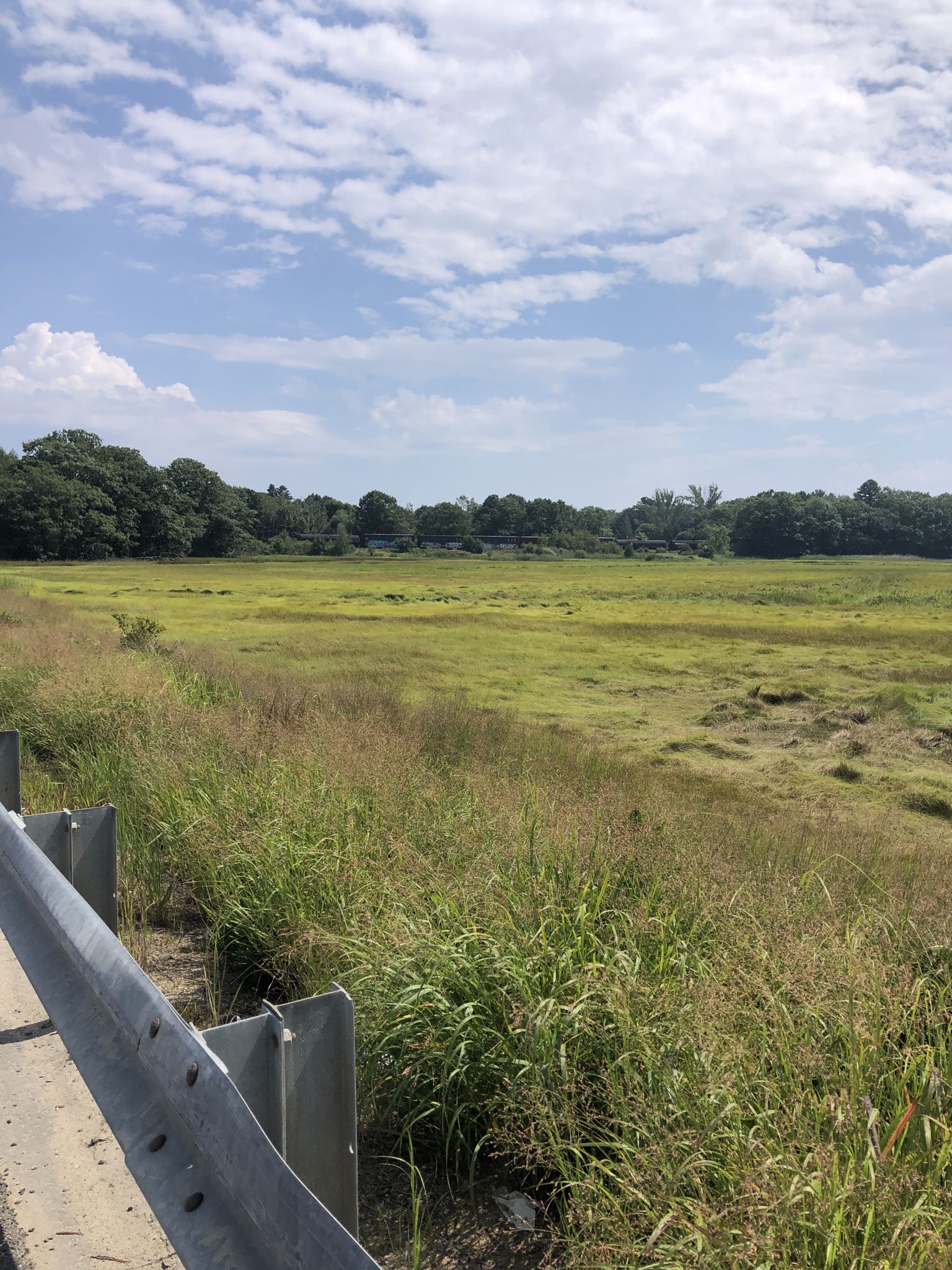 A guardrail overlooks a vast expanse of green and yellow marshland. - Old Orchard Beach – Portland Head Light at Fort Williams Park loop from Kennebunkport