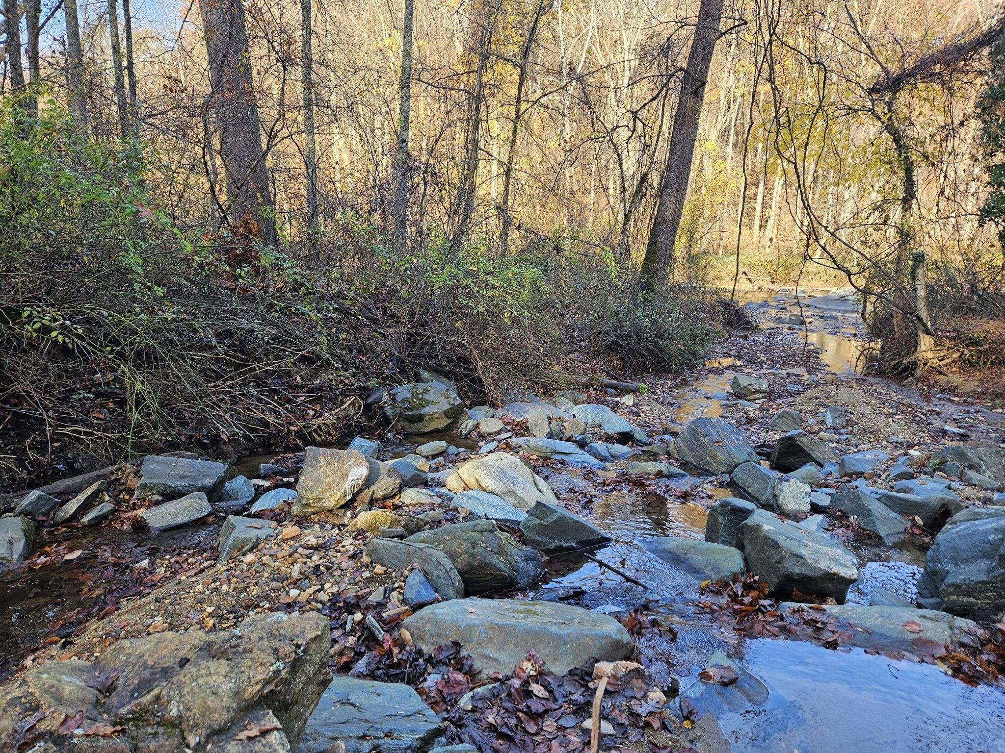 Rocky stream bed winding through a sunlit forest with bare trees. - Big Gunpowder Falls Trail