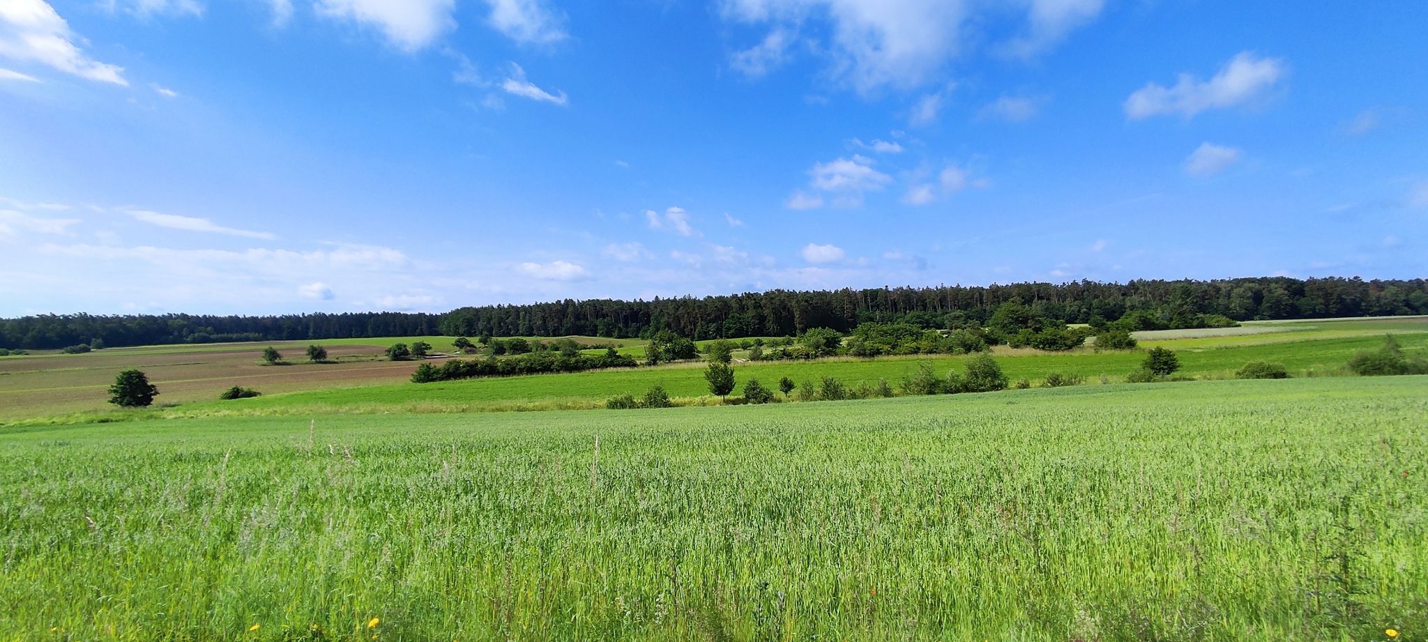 Ausblick - zw. Weißenbronn u. Heilsbronn