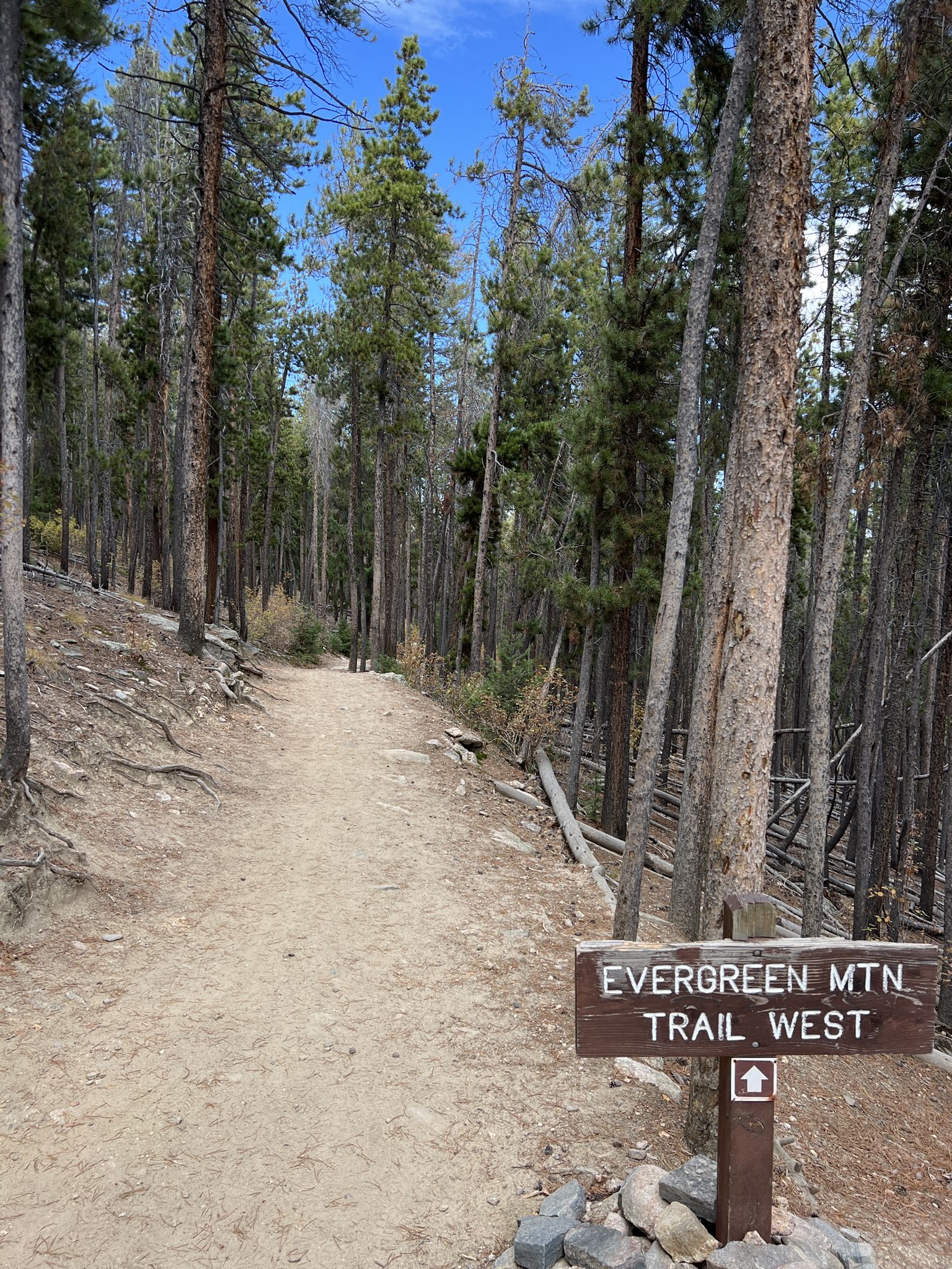 A dirt trail through a dense pine forest with a wooden trail sign. - Hiking loop from Evergreen