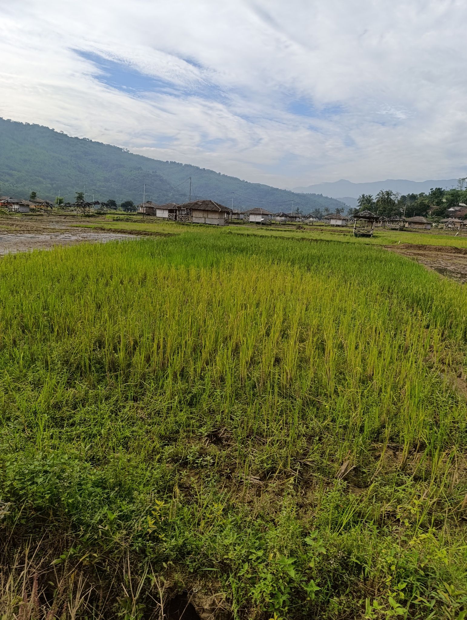 sukanagara