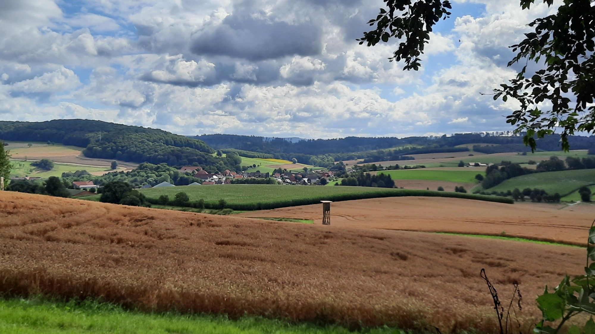 Westerhof 