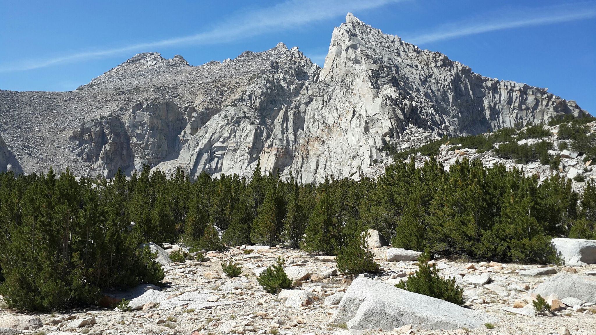 Jagged rocky mountains rise above a forest of pine trees on a clear day. - Sixty Lake Basin via Onion Valley