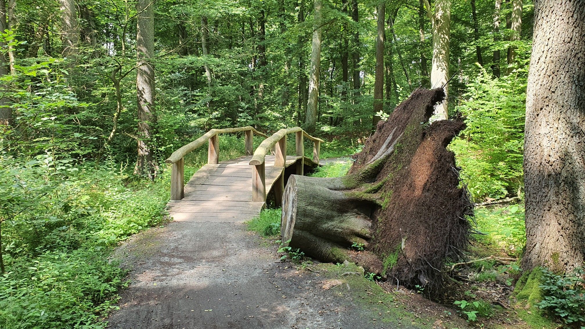 von Tommy Quelle über die Brücke zum Erlengrund