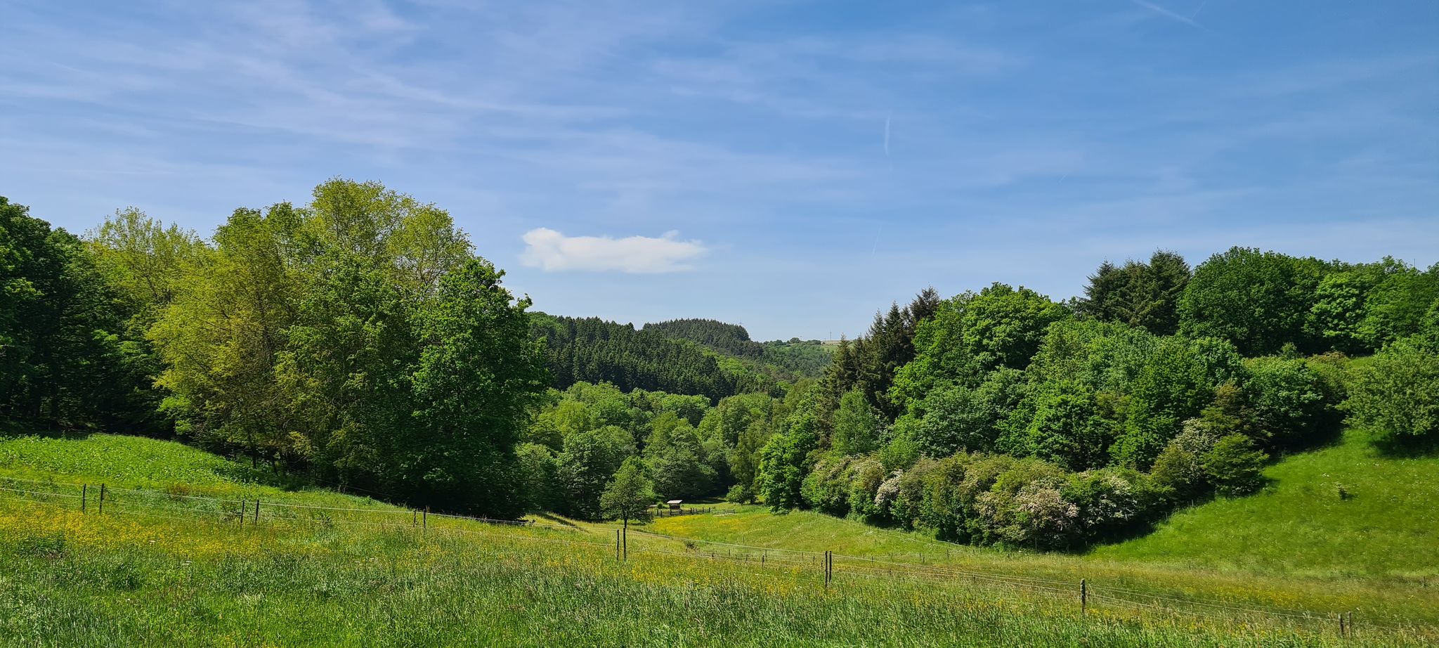 Abstieg ins Lorscheider Bachtal