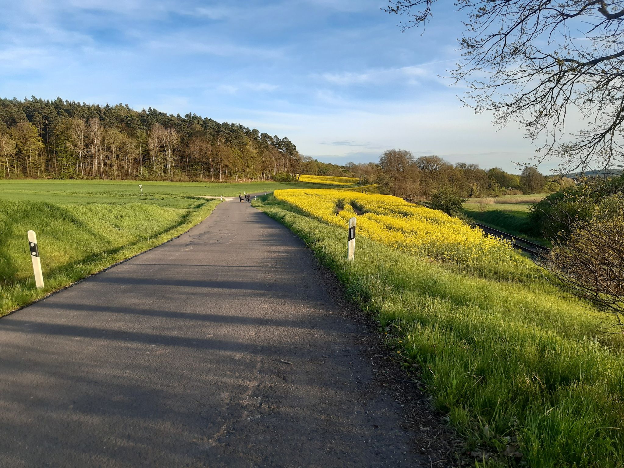 schöne kurze asphalteinlage
