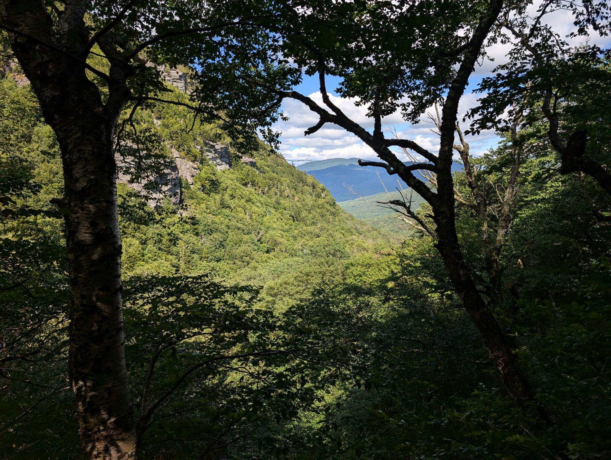 Lush green valley and distant mountains viewed through dark tree branches. - Madonna Peak via Sterling Pond Trail