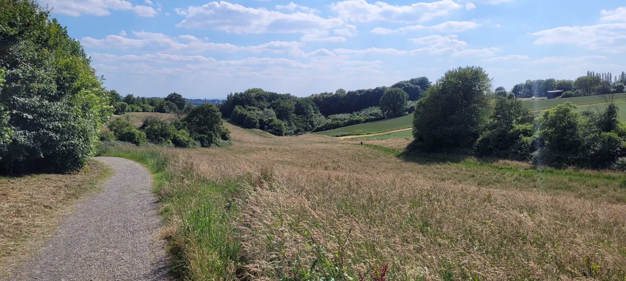 hinter Gräfrath: wieder viel Natur