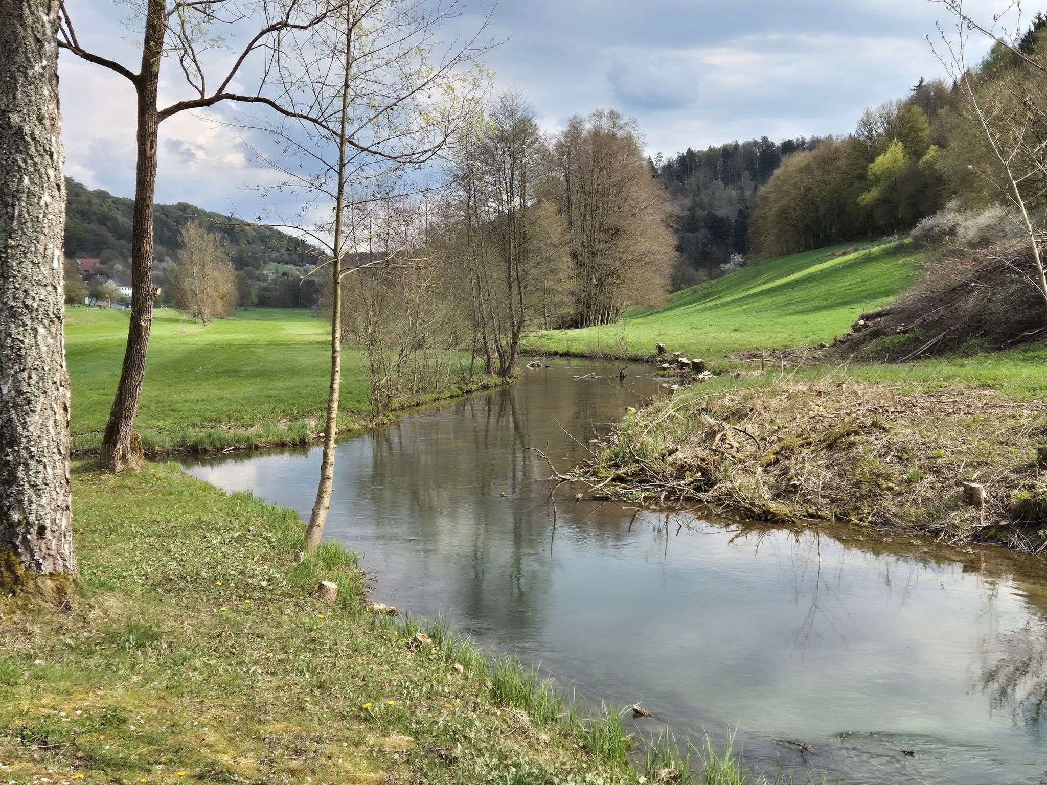Die Trubach