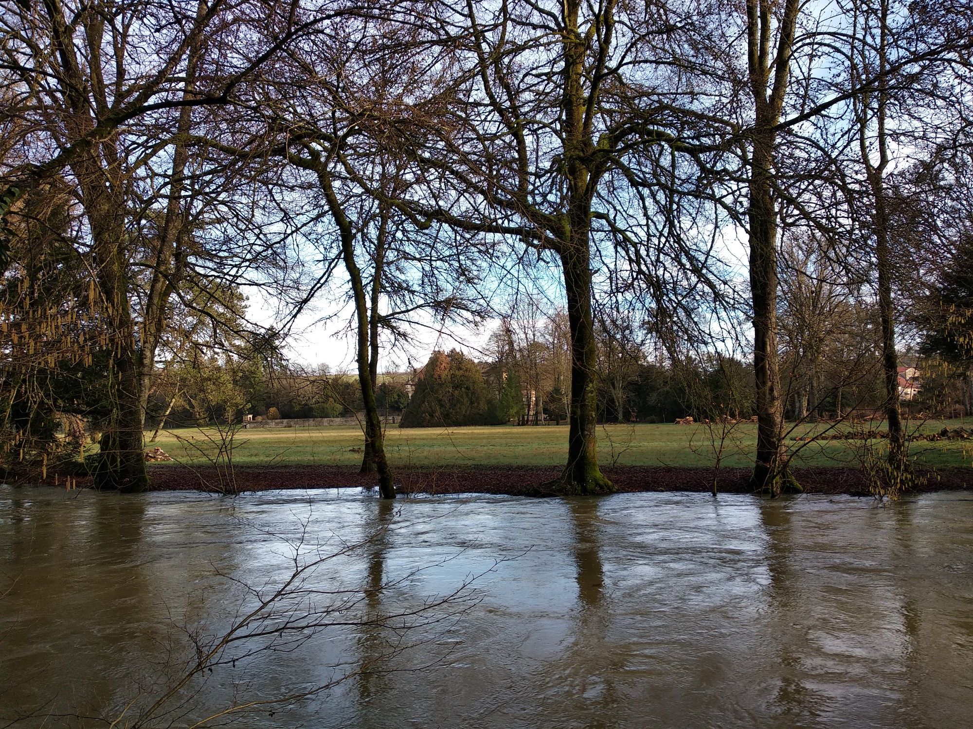 La Saulx 04/02/2021