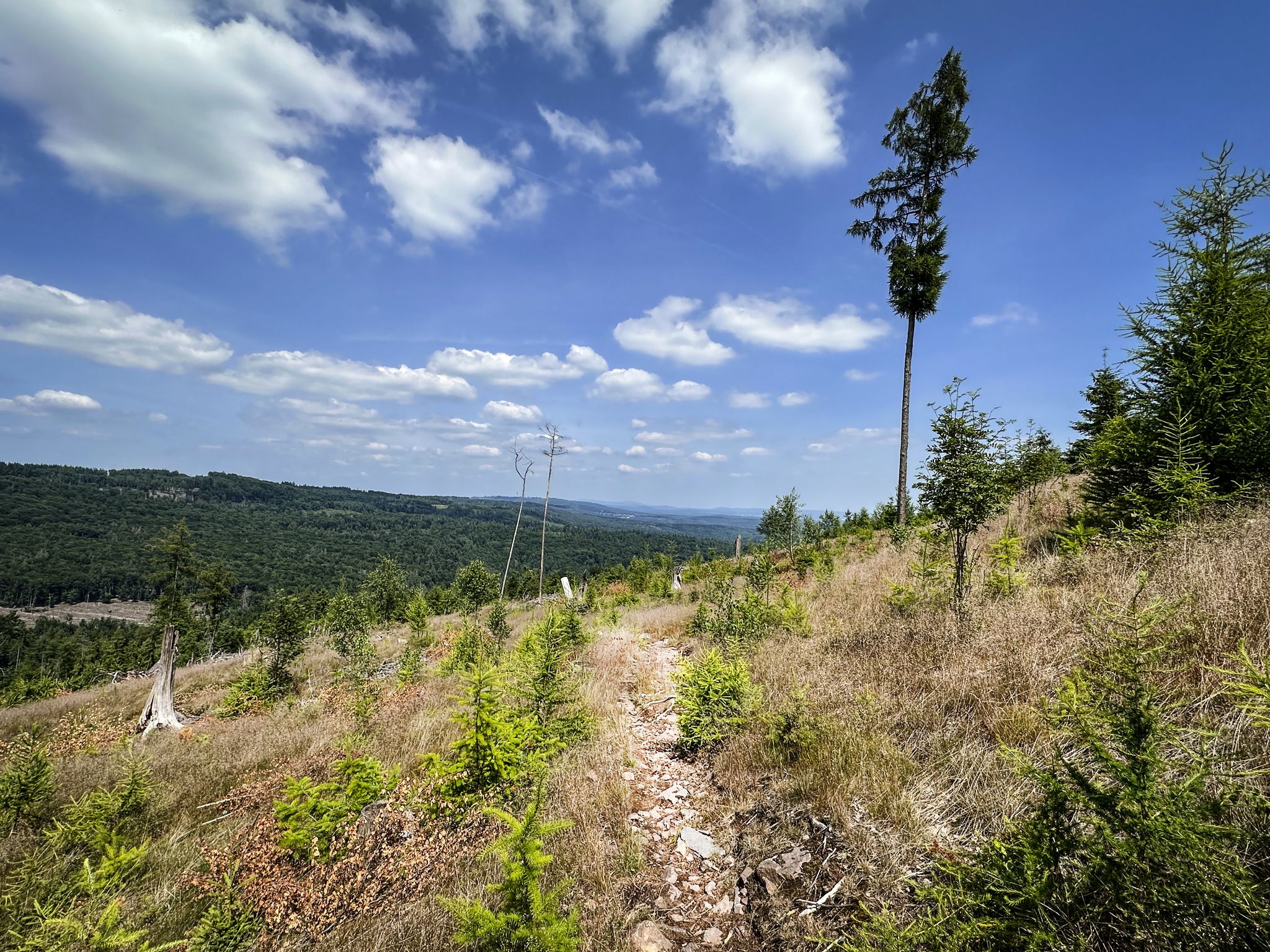 Korkenziehertrail