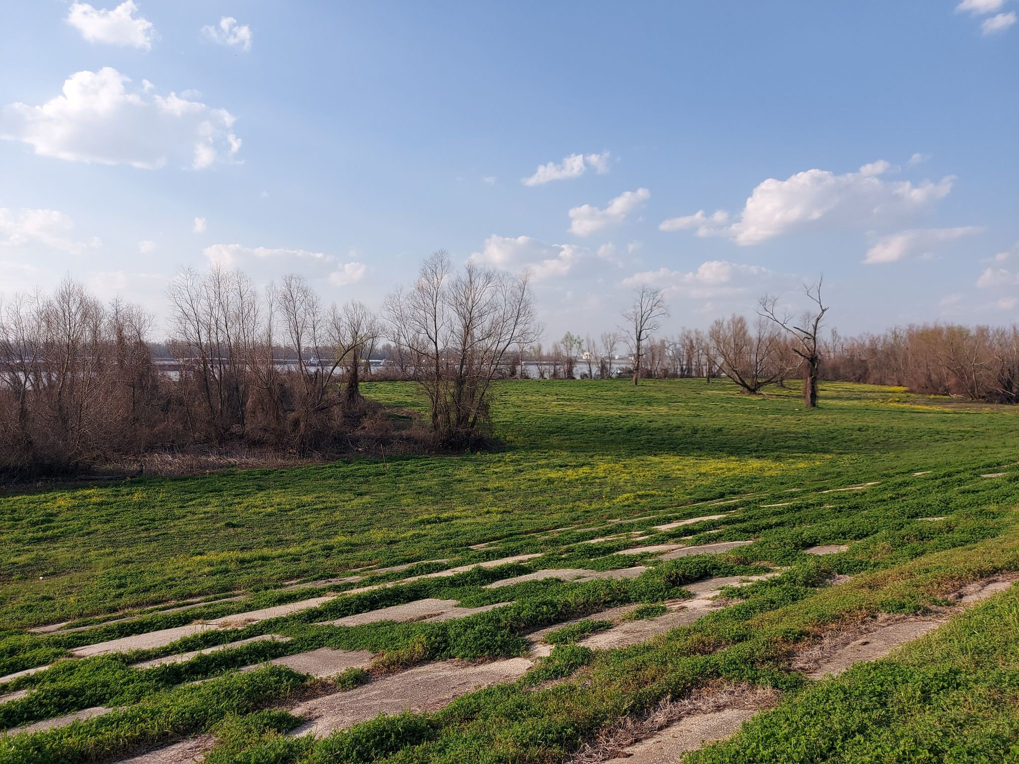 Sunny field with green grass, bare trees, and distant water under blue sky. - Mississippi River Levee Trail