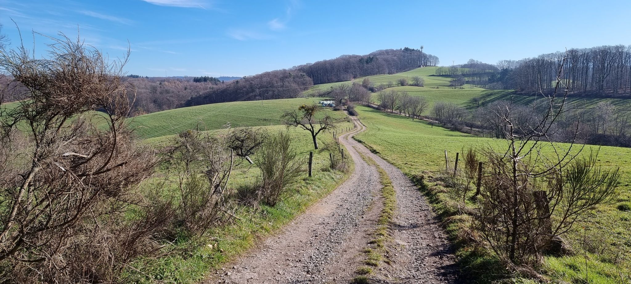 Weg zwischen Ritschweiher und Rittenweiher
