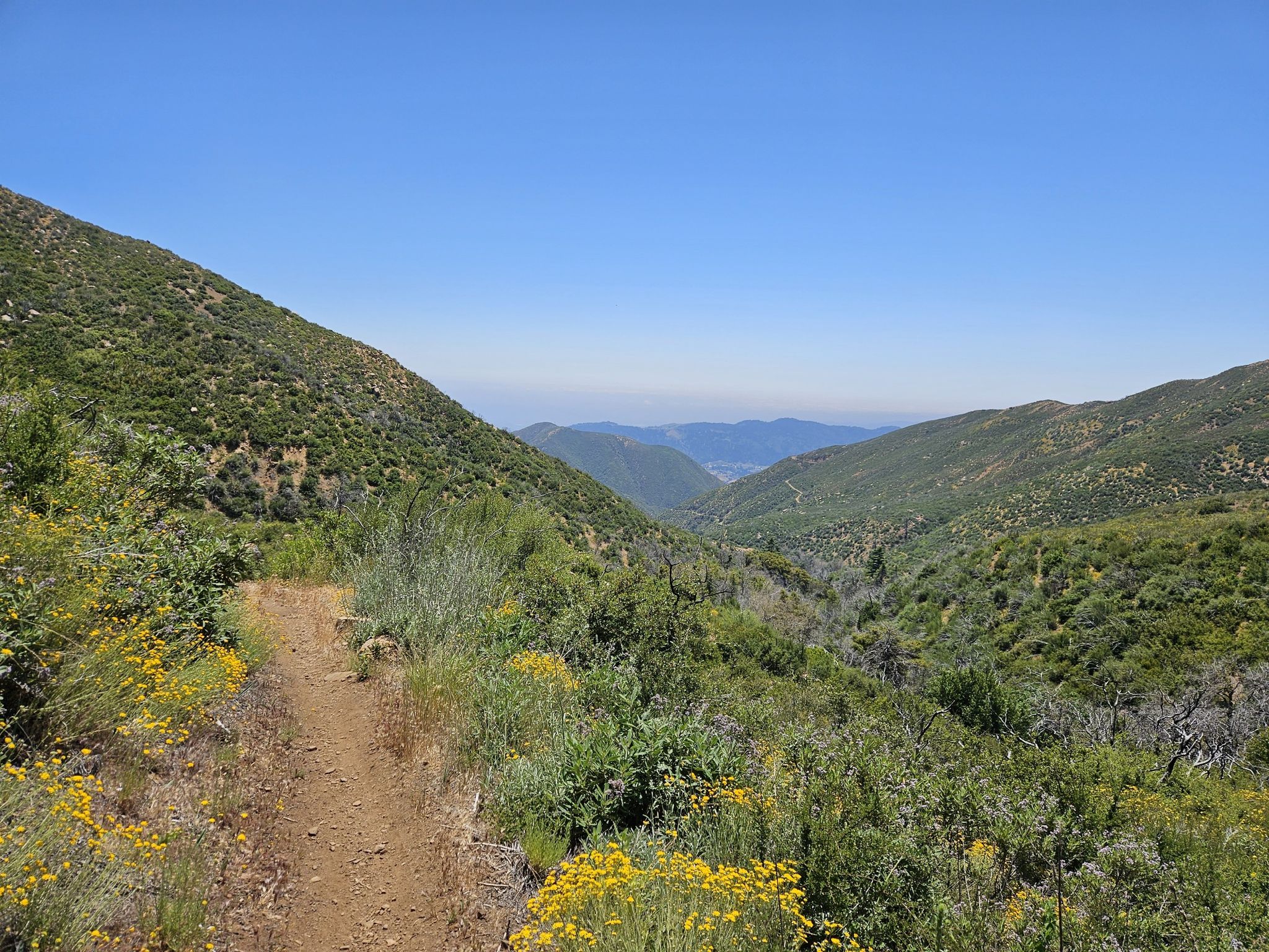 Dirt path through green, sunlit hills overlooking a distant valley. - Topatopa Bluff Trail