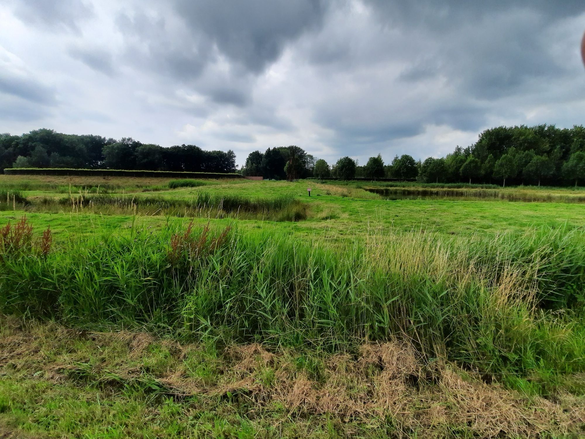 Al heel snel mooie natuur