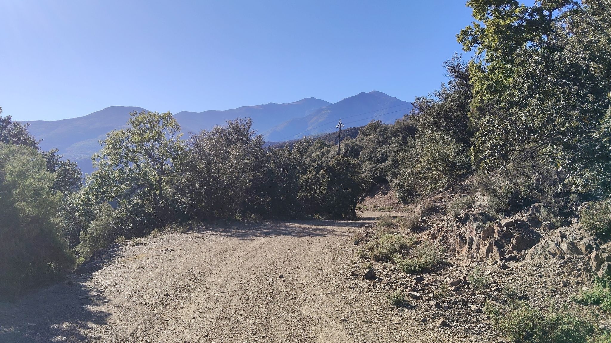Canigou