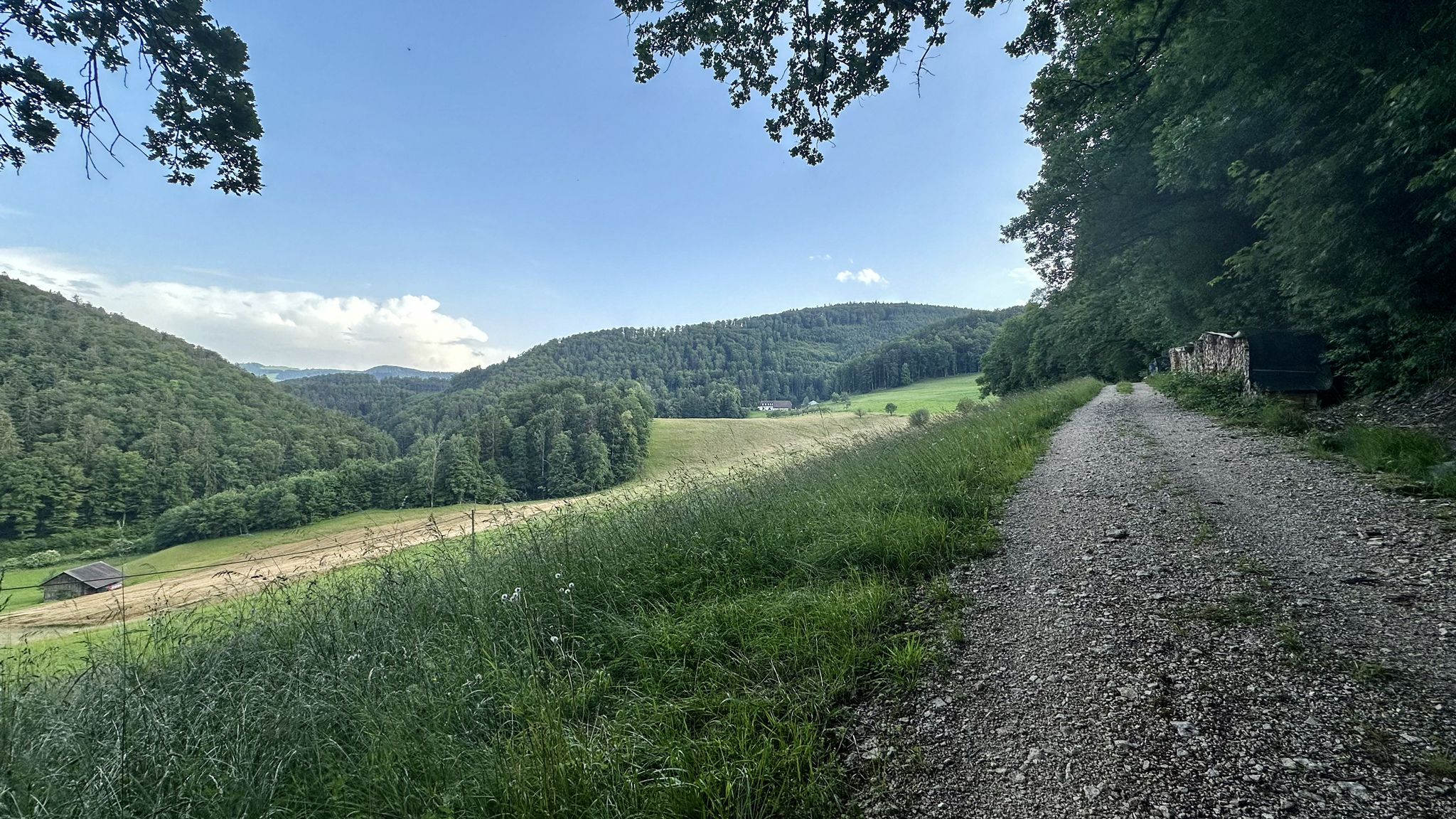 ...irgendwo zwischen Himmelried und Seewen💪🏼...