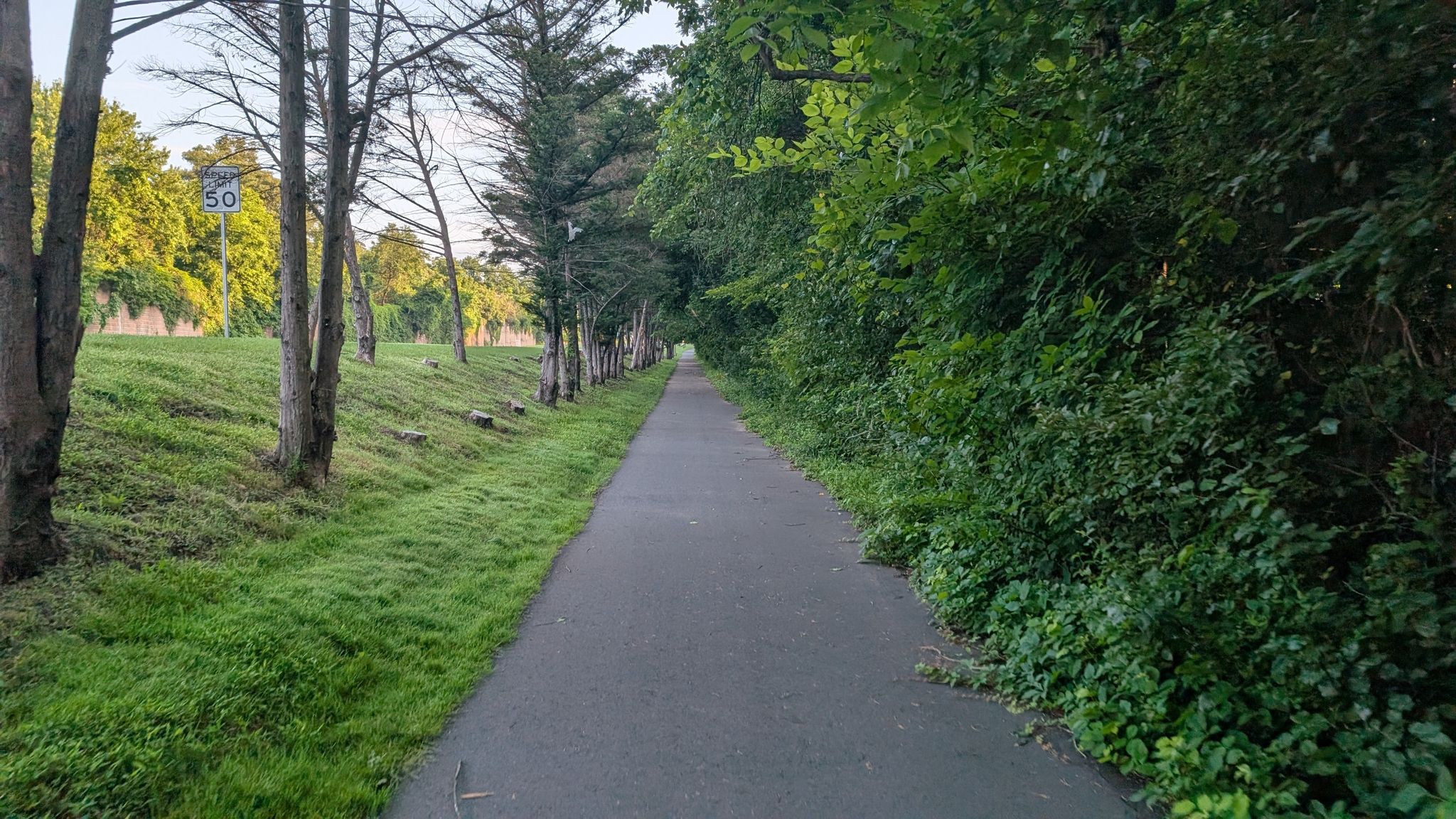 Paved path through a green landscape, lined with trees and bushes. - Herndon Caboose Park – Green Lizard Cycling, Herndon loop from Fair Lakes