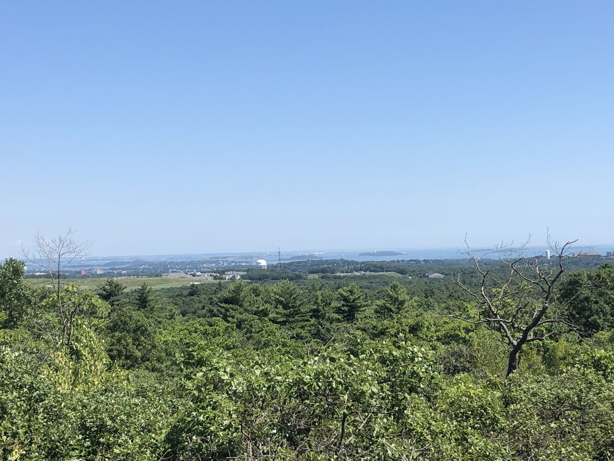 Panoramic view of a green forest and distant water under a clear blue sky. - Blue Hills Skyline Loop