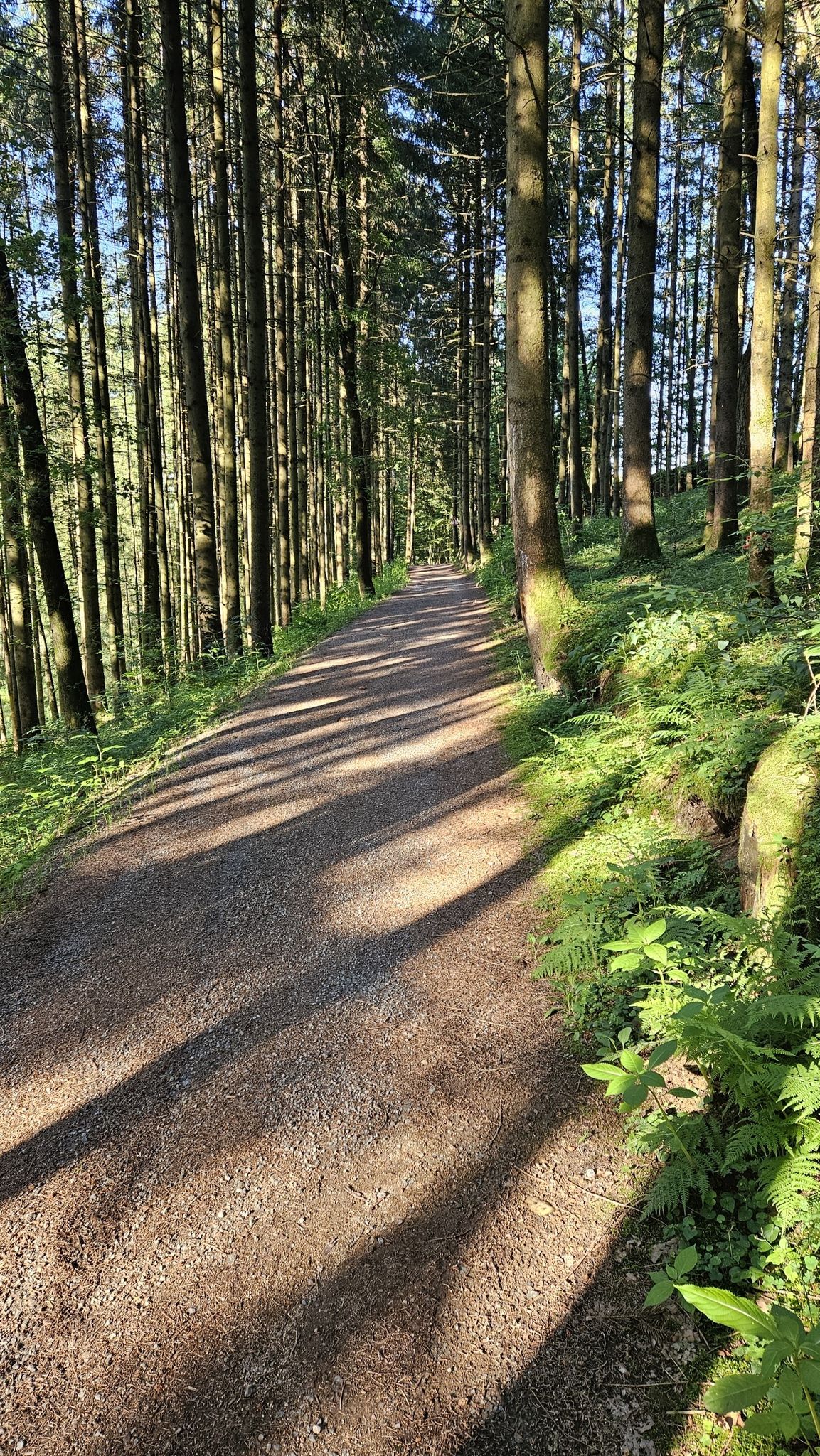 Ohetalradweg
