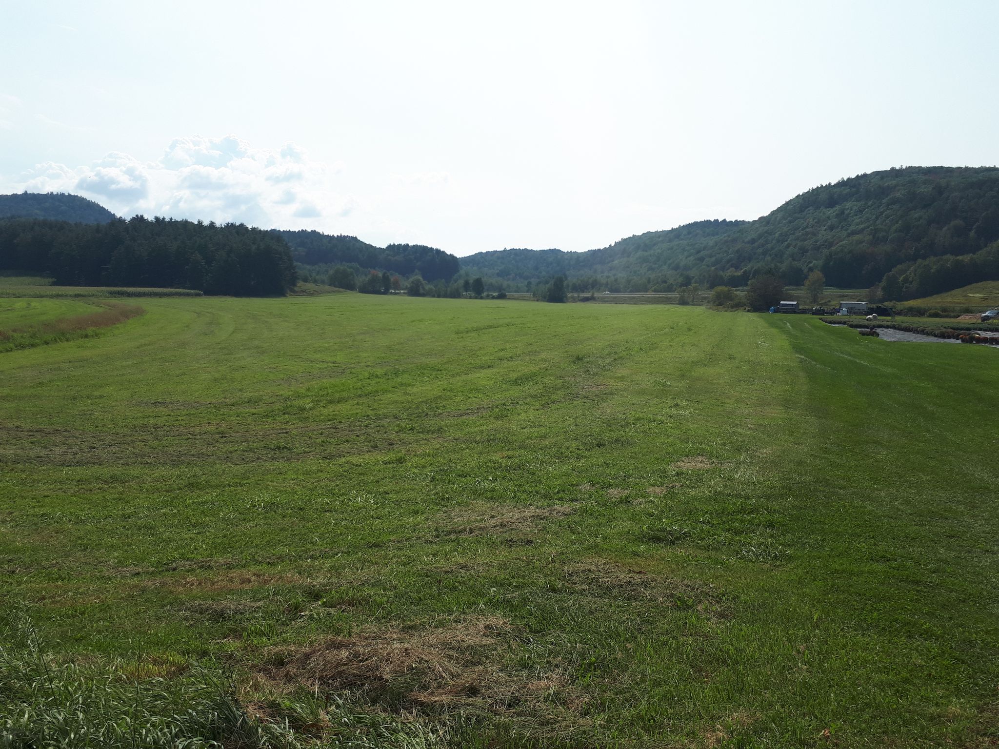 Expansive green field with distant forested hills under a bright sky. - Cross Vermont Trail