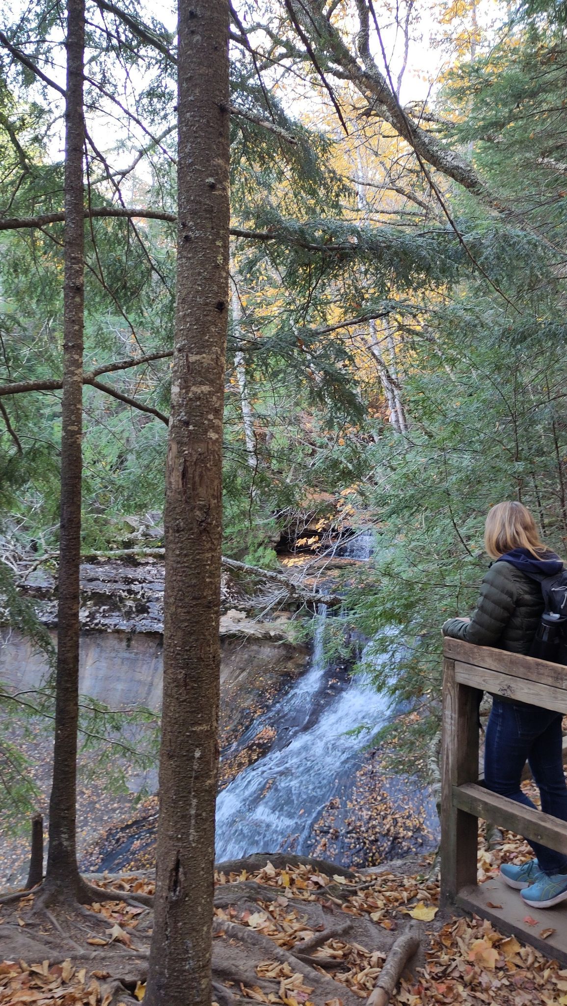 Person on a wooden platform viewing a waterfall in a forest. - Chapel Falls loop from Chapel / Mosquito