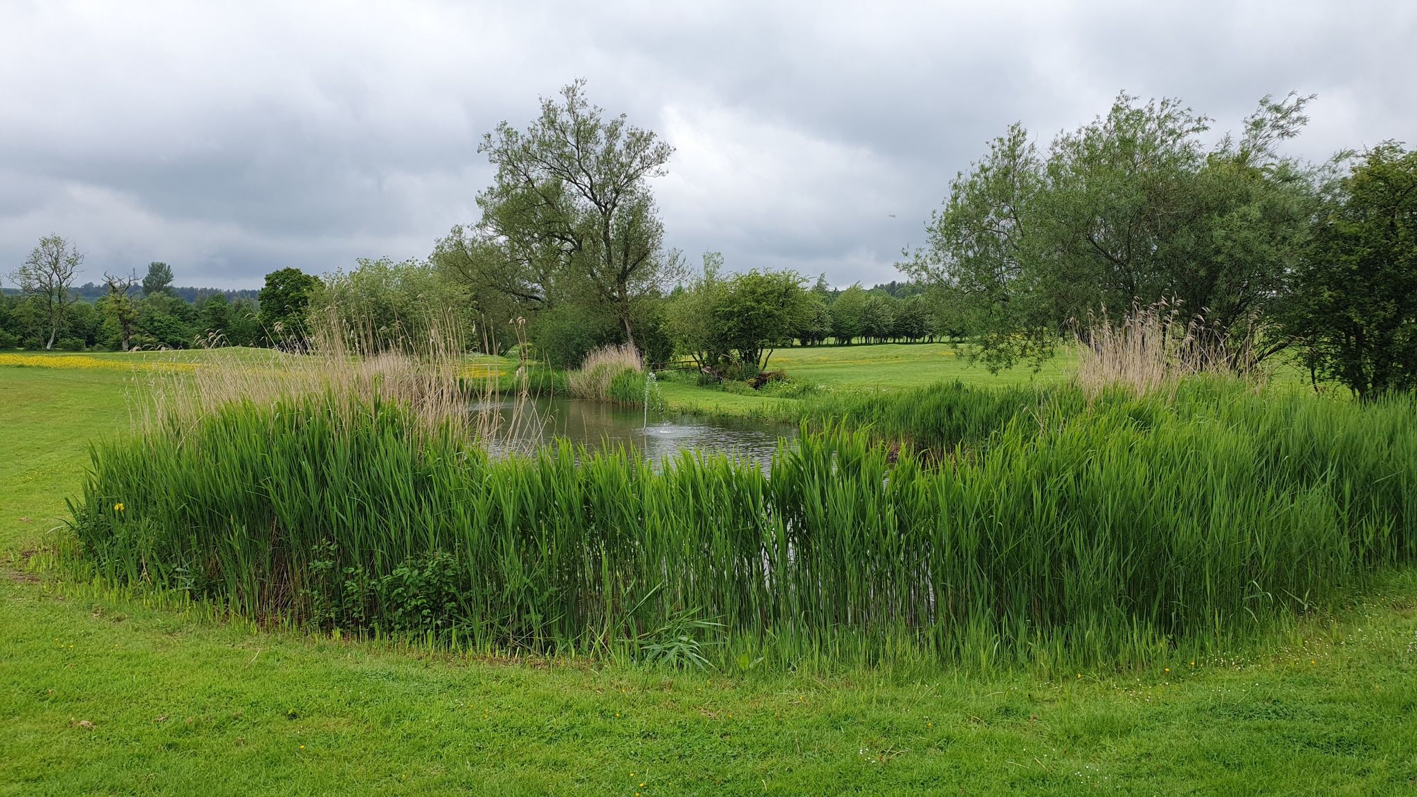 nice golfcourse