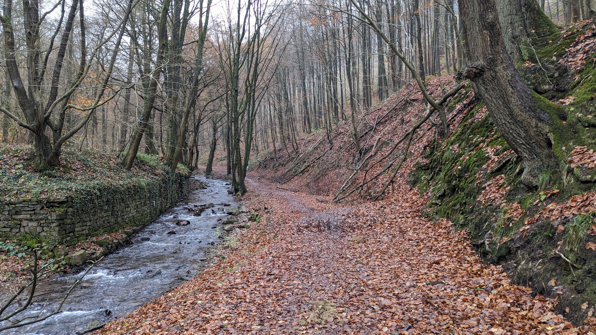 Ehemaliger Kremershammer (links) am Burgholzbach