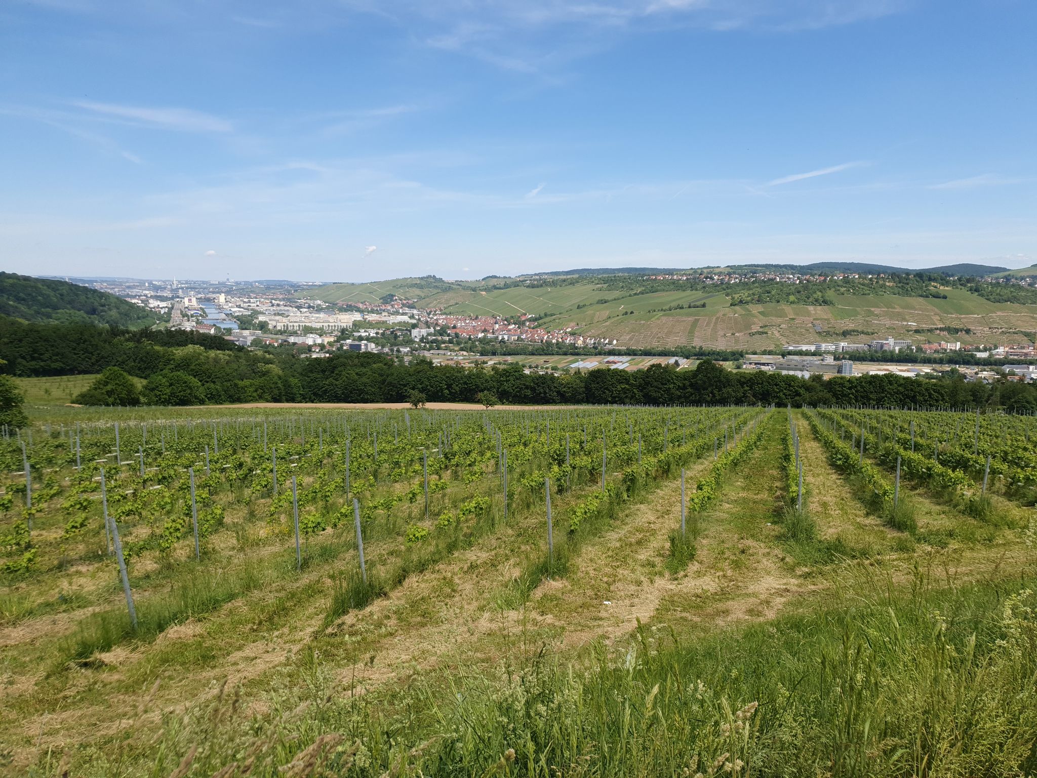 Blick ins Neckartal