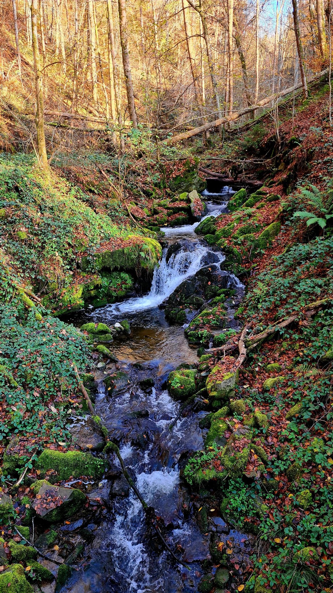 Kohlbach im Teufelsloch
